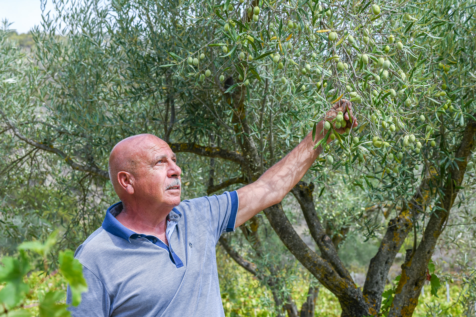 Gianni Pilloni, Sanluri