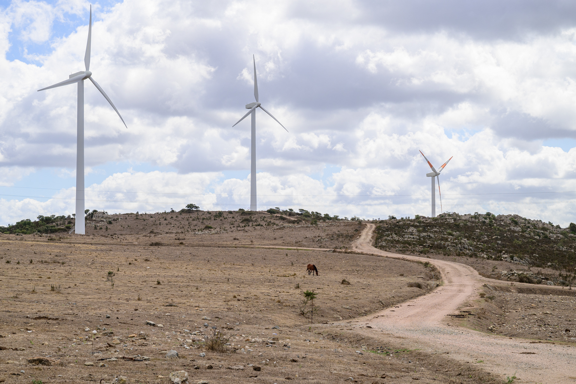 Wind farm, San Basilio