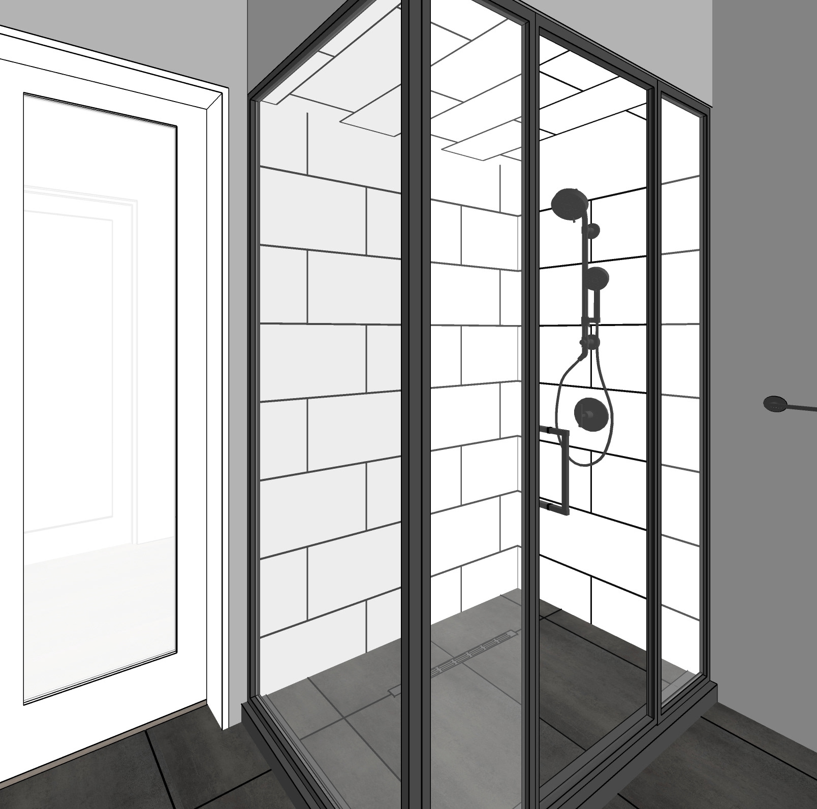 3D Visualization of Shower