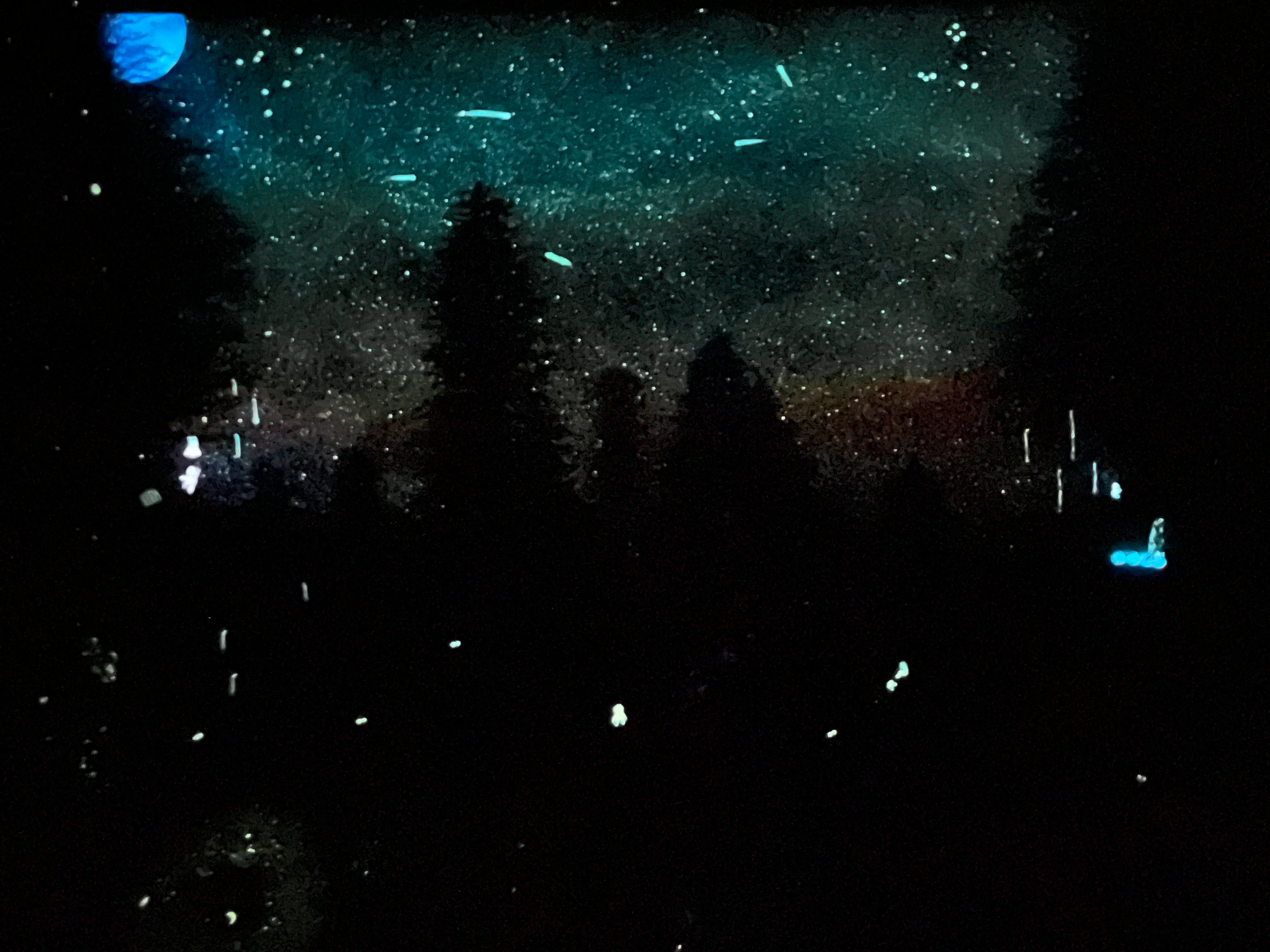 Forest thru the Trees - Glow-in-the-dark View