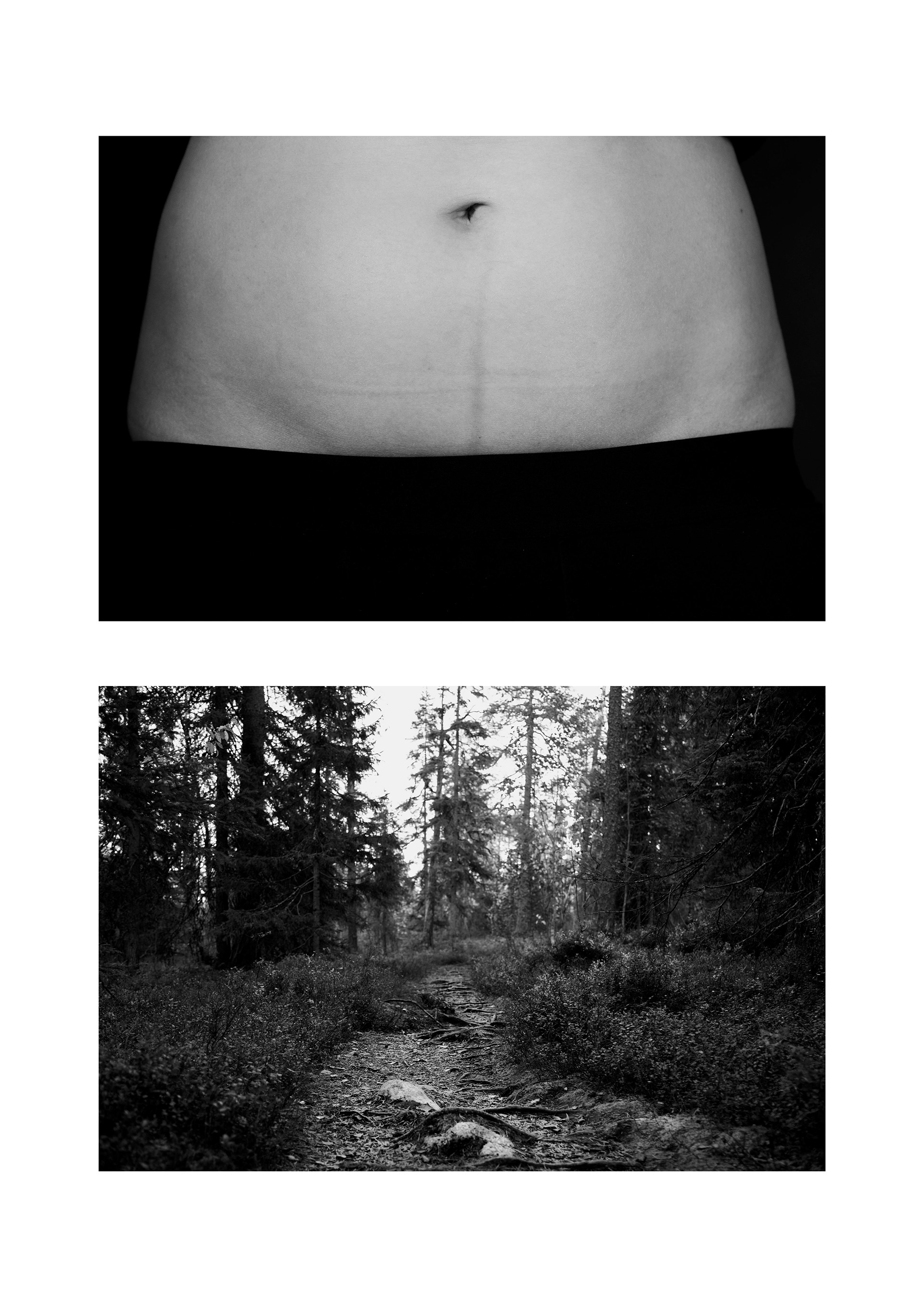 Trail to Happiness