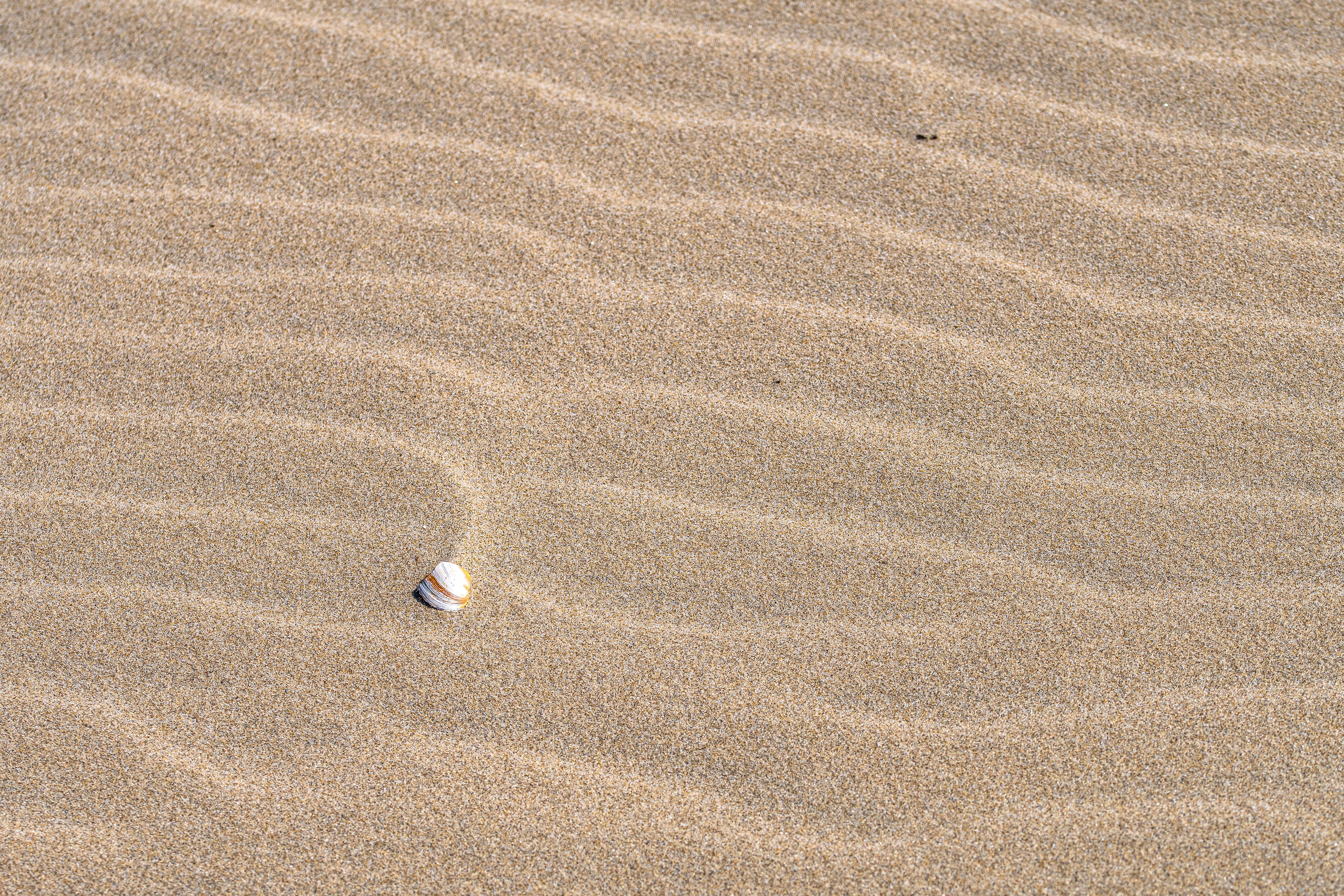 Nordseestrand
