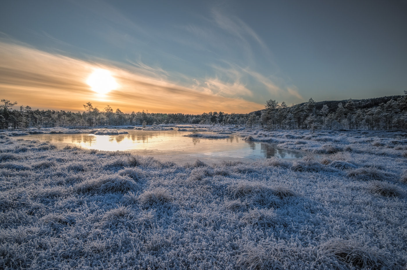 Sweden - Sunset over frozen wetlands