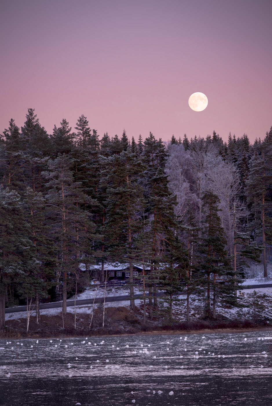 Sweden - Moonlit over snow forest and frozen lake