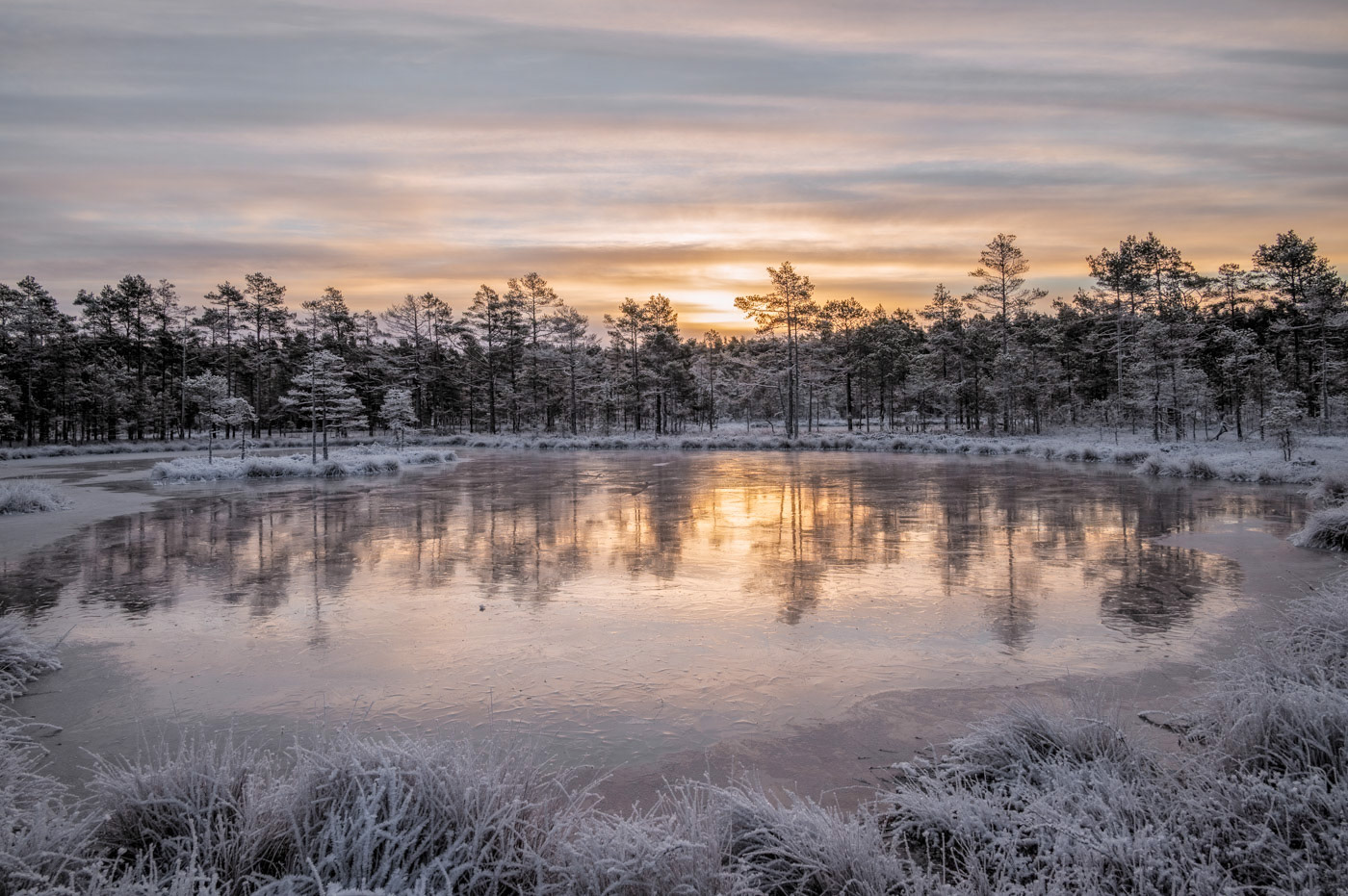 Sweden - Sunset over frozen wetlands