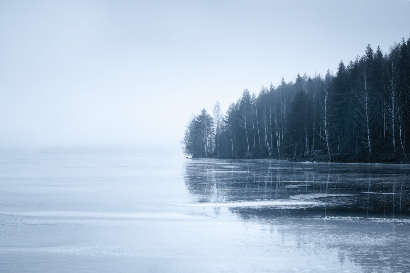 Sweden - frozen lake surrounded by the forest in blue tone