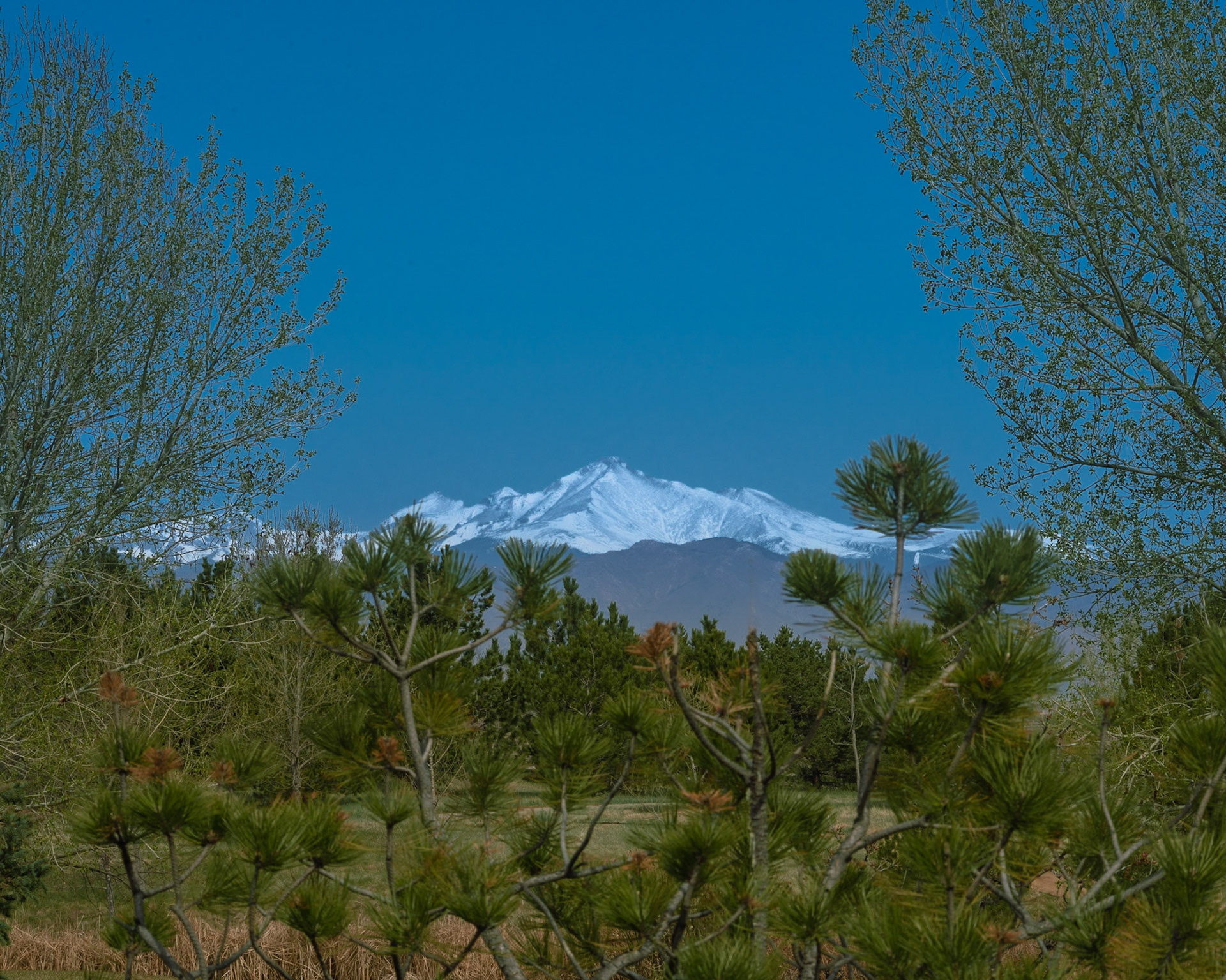Longs Peak from Broomfield