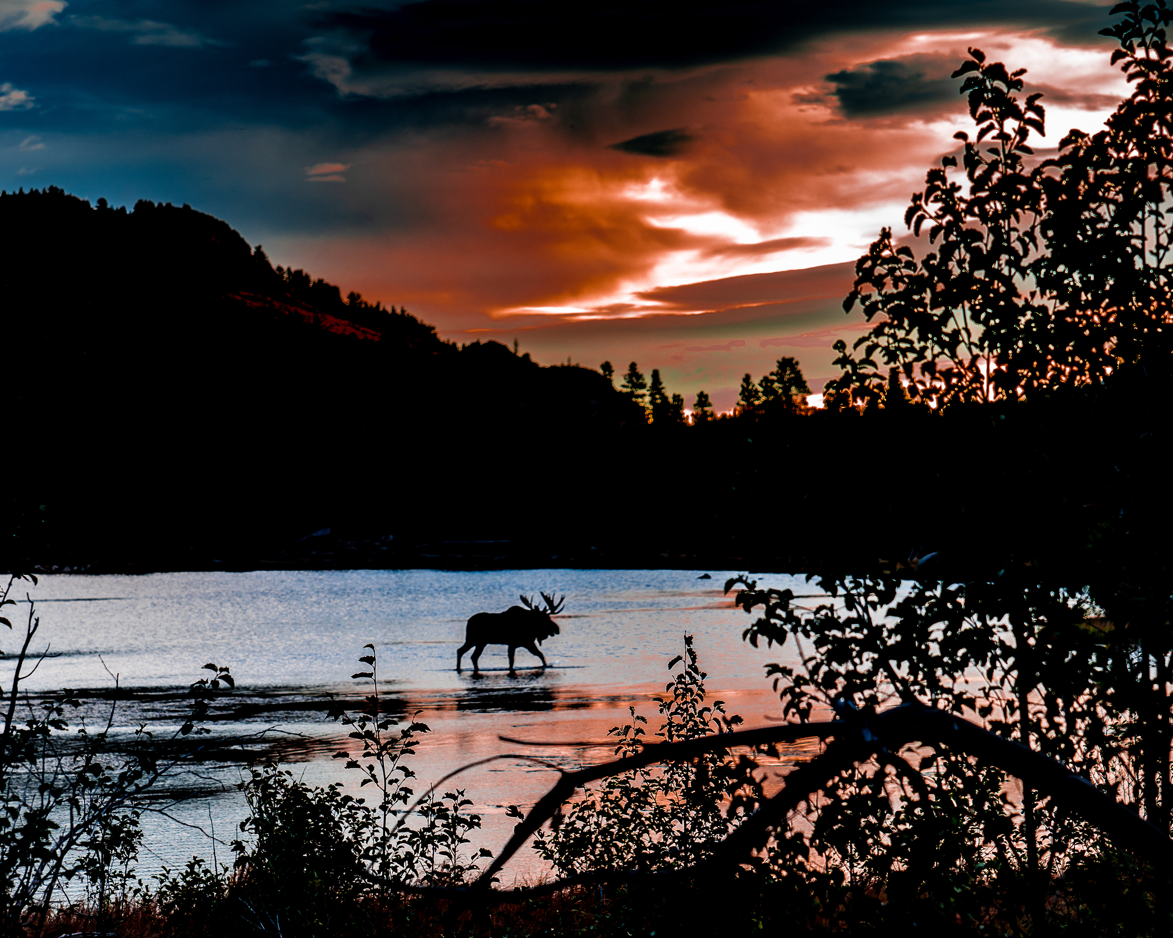 Rocky Mountain National Paark