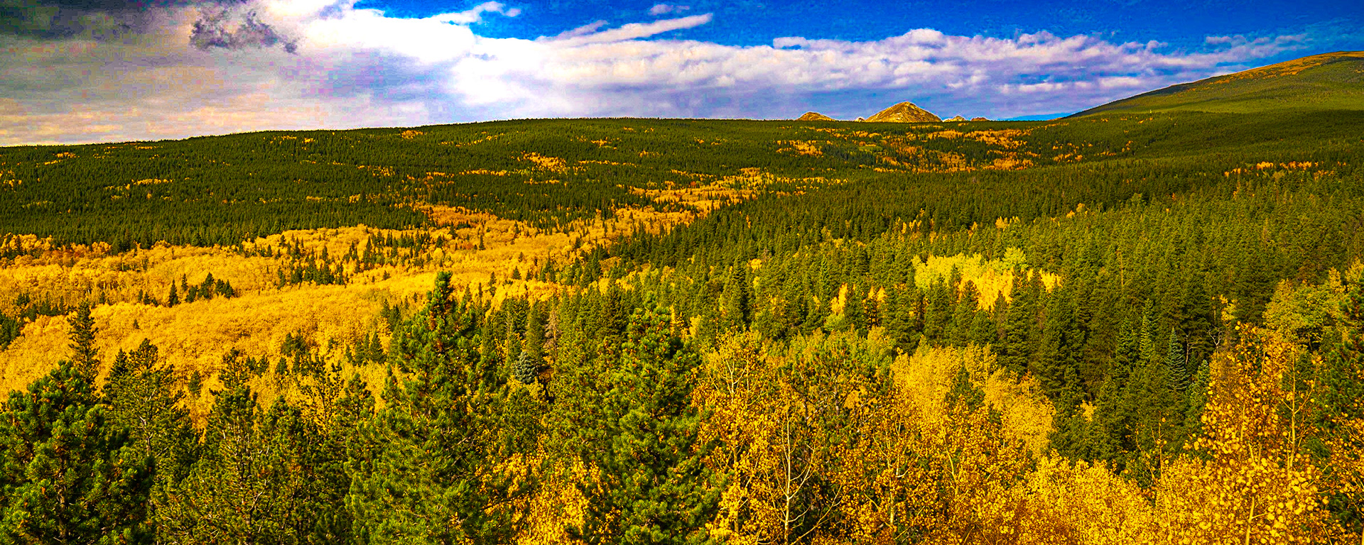 Fall Color along Peak to Peak Highway