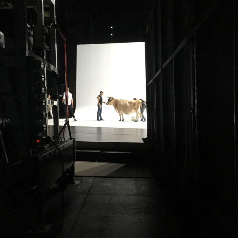 Nina, la nouvelle soliste star de la Traviata