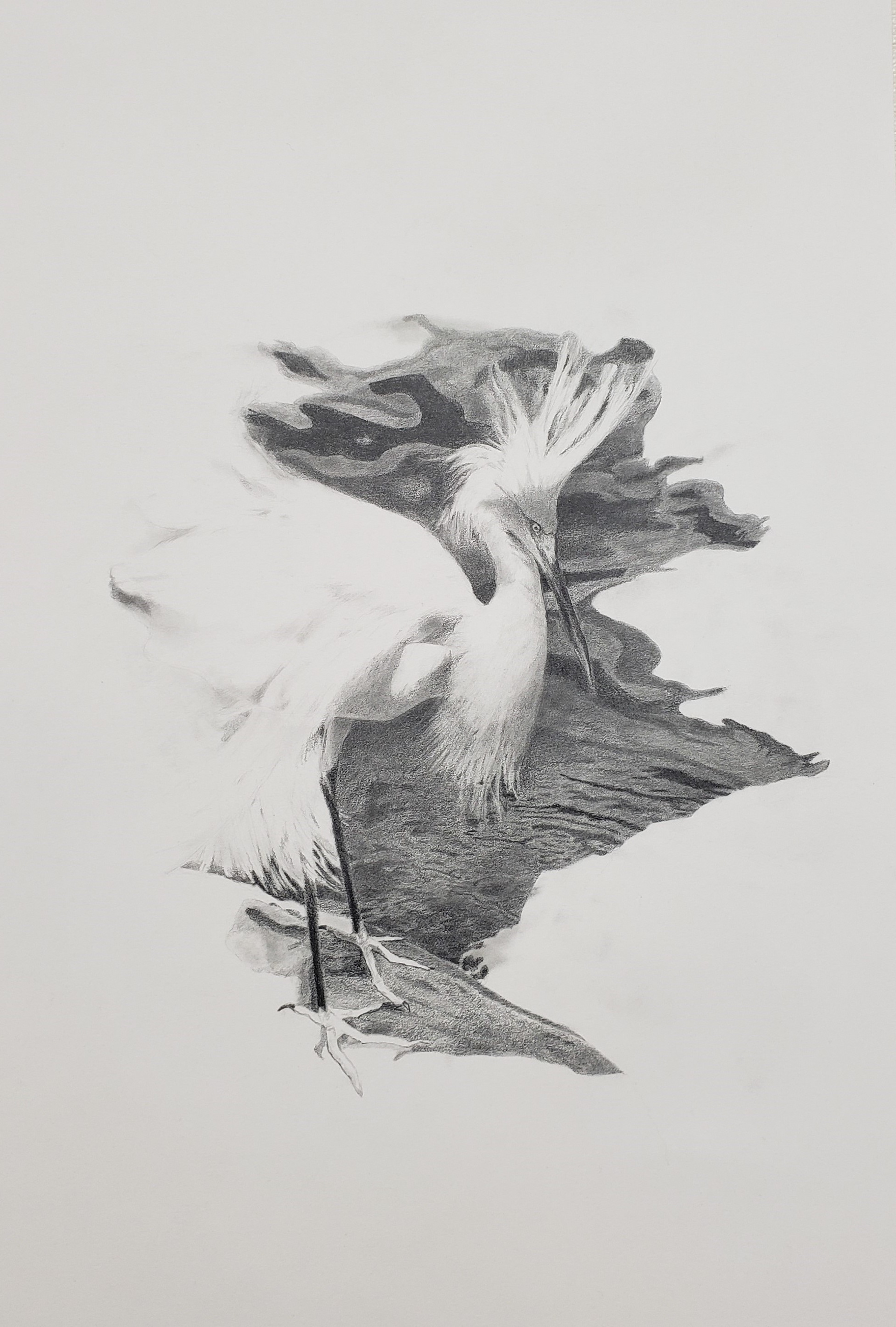 Joseph McKinley - Egret in Graphite