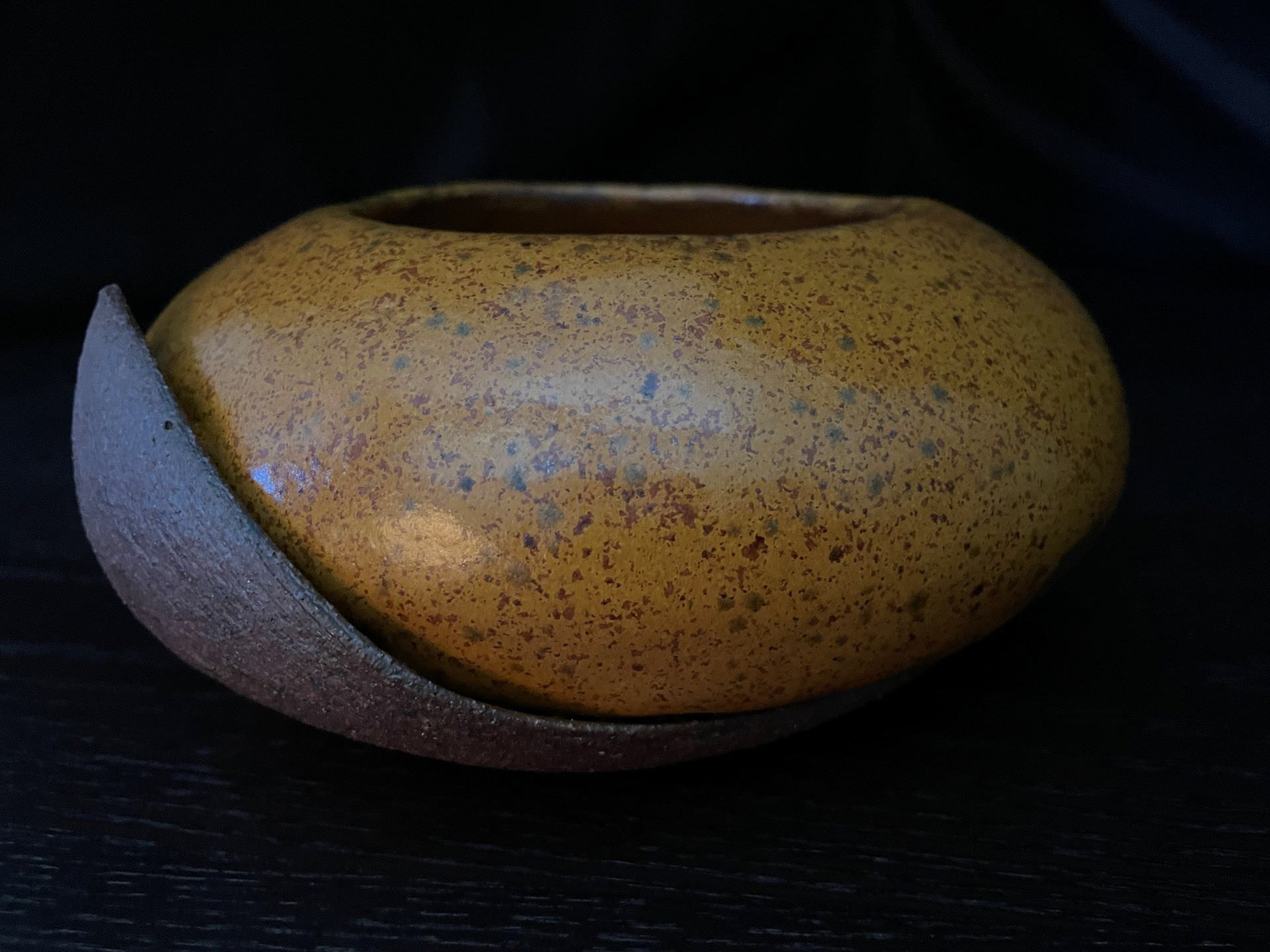 Darin Oar - Beetle Horn Bowl