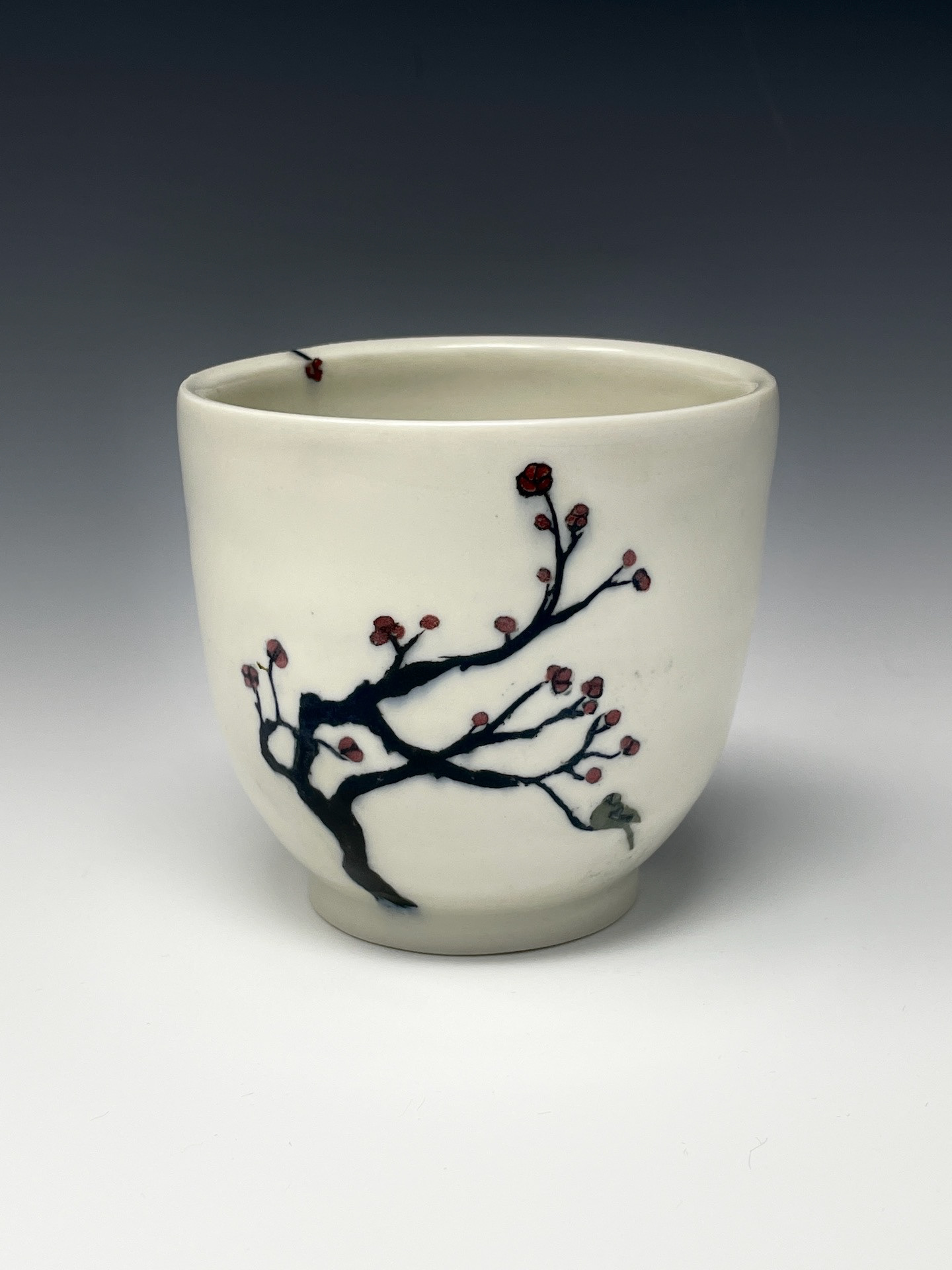 Timothy Steinmann - Cup