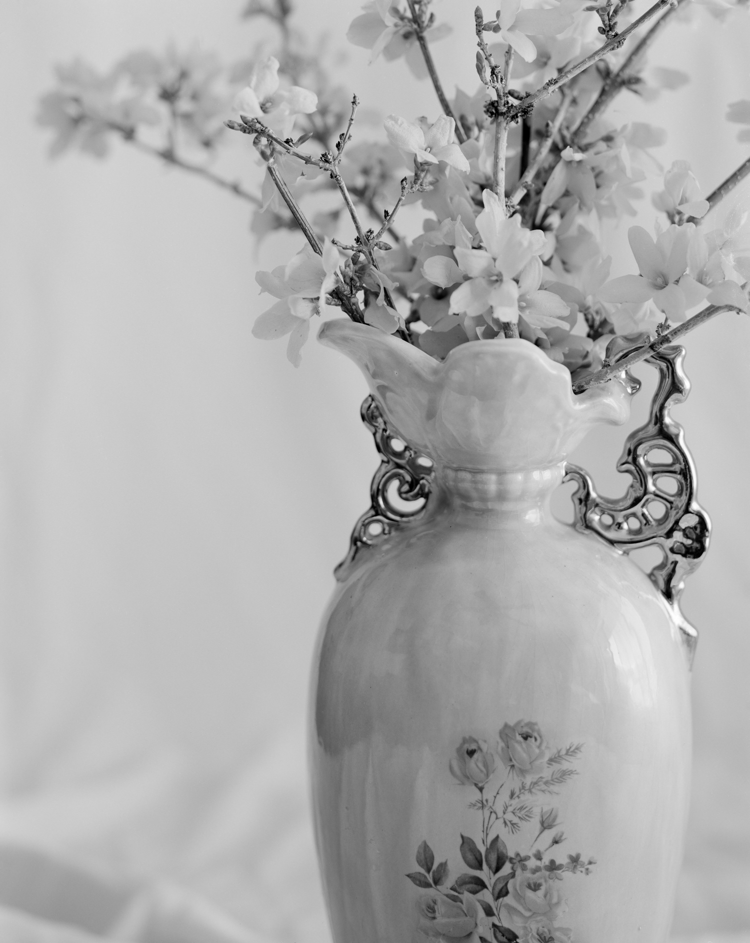 Alexa Nielsen - Spring Blossoms