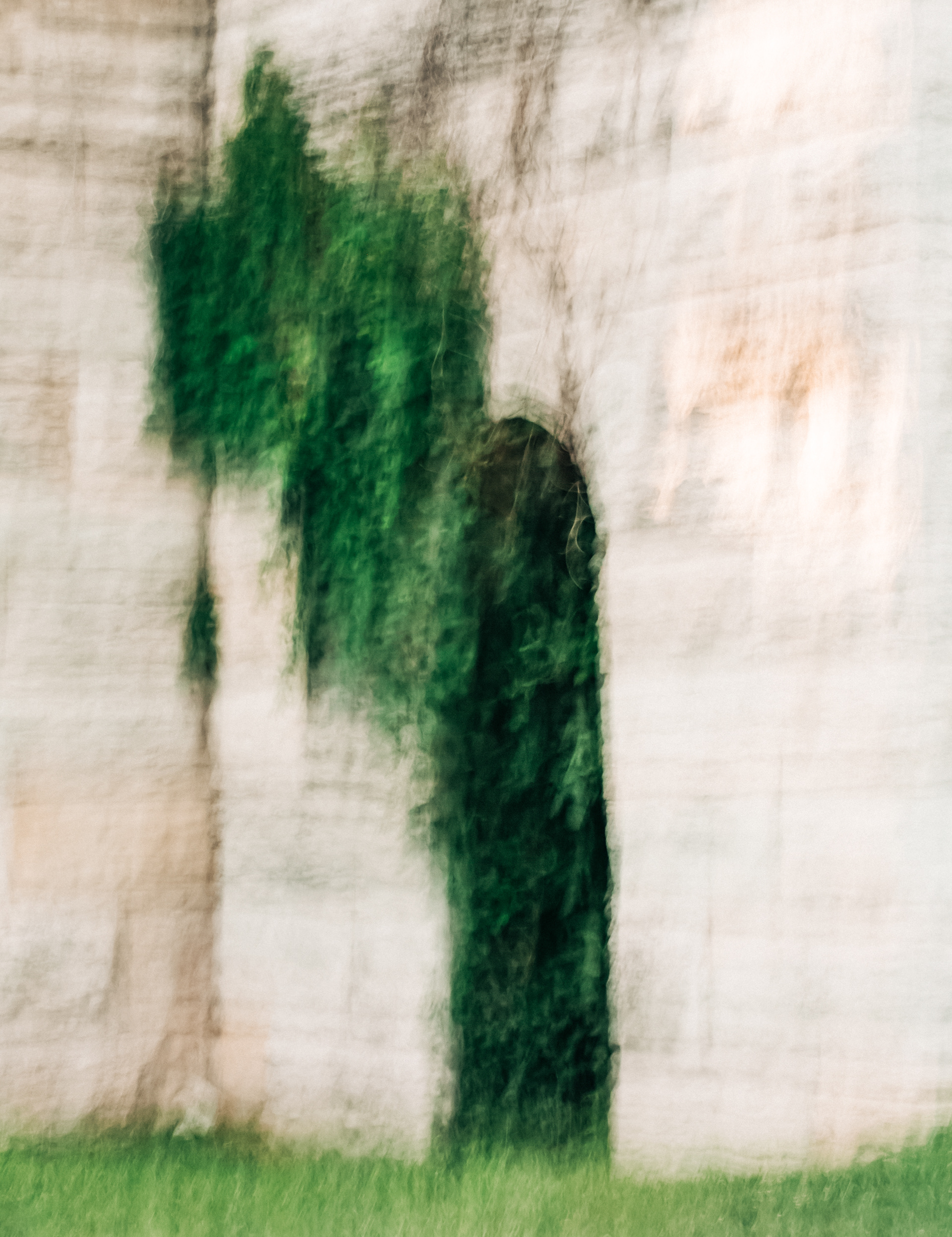 Untitled 6