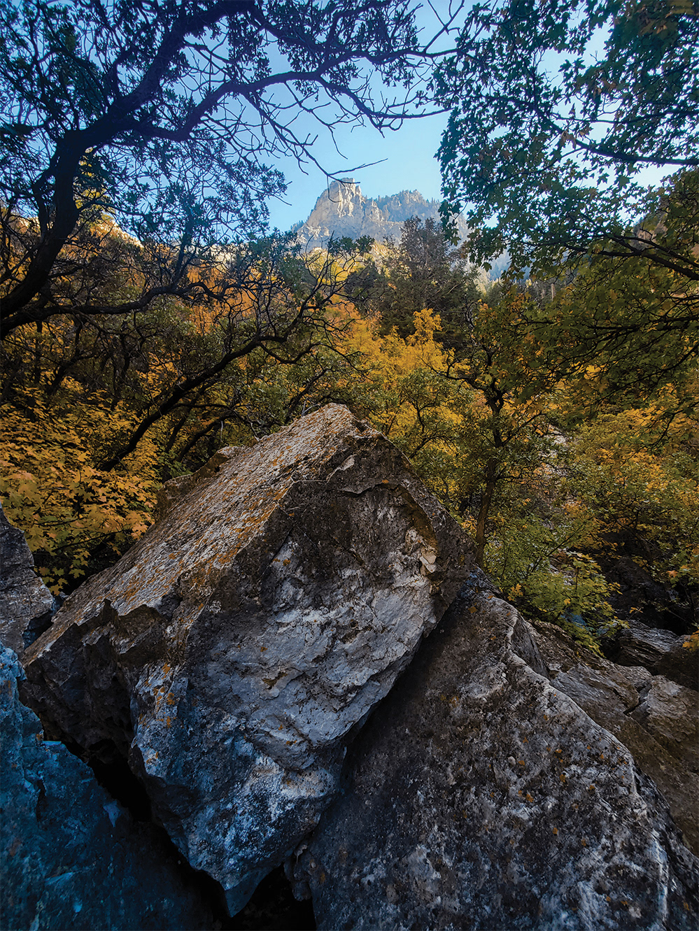 Kevin Baggerly - Rock Canyon