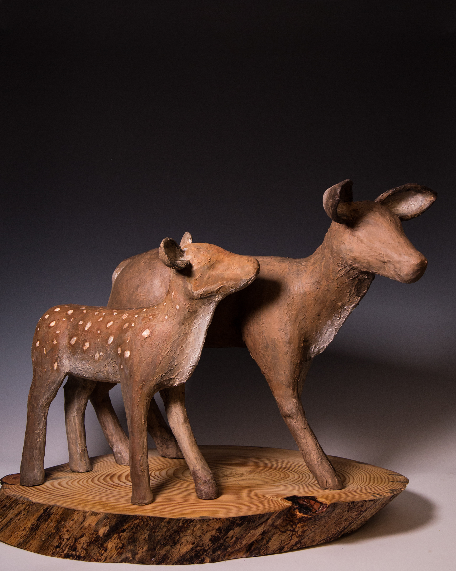 Deer 3