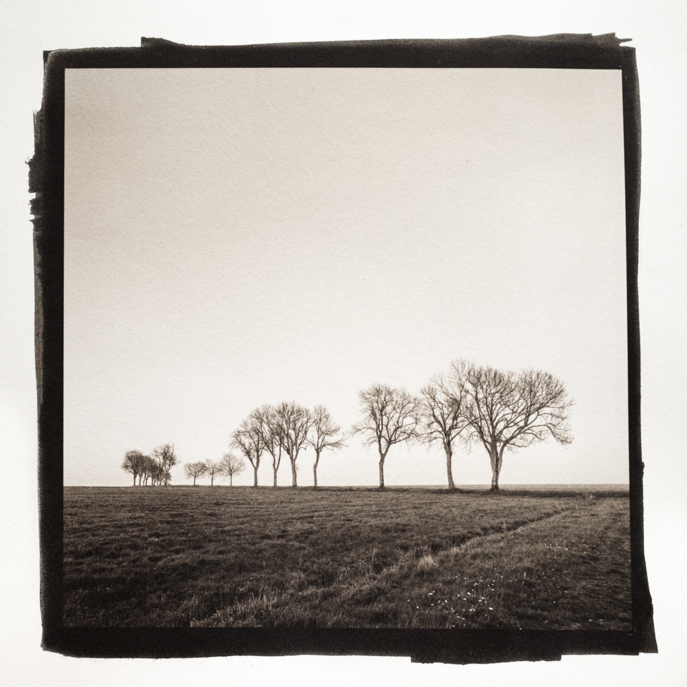 Kory McIntire - Sunset (Schwarzenborn, Germany)