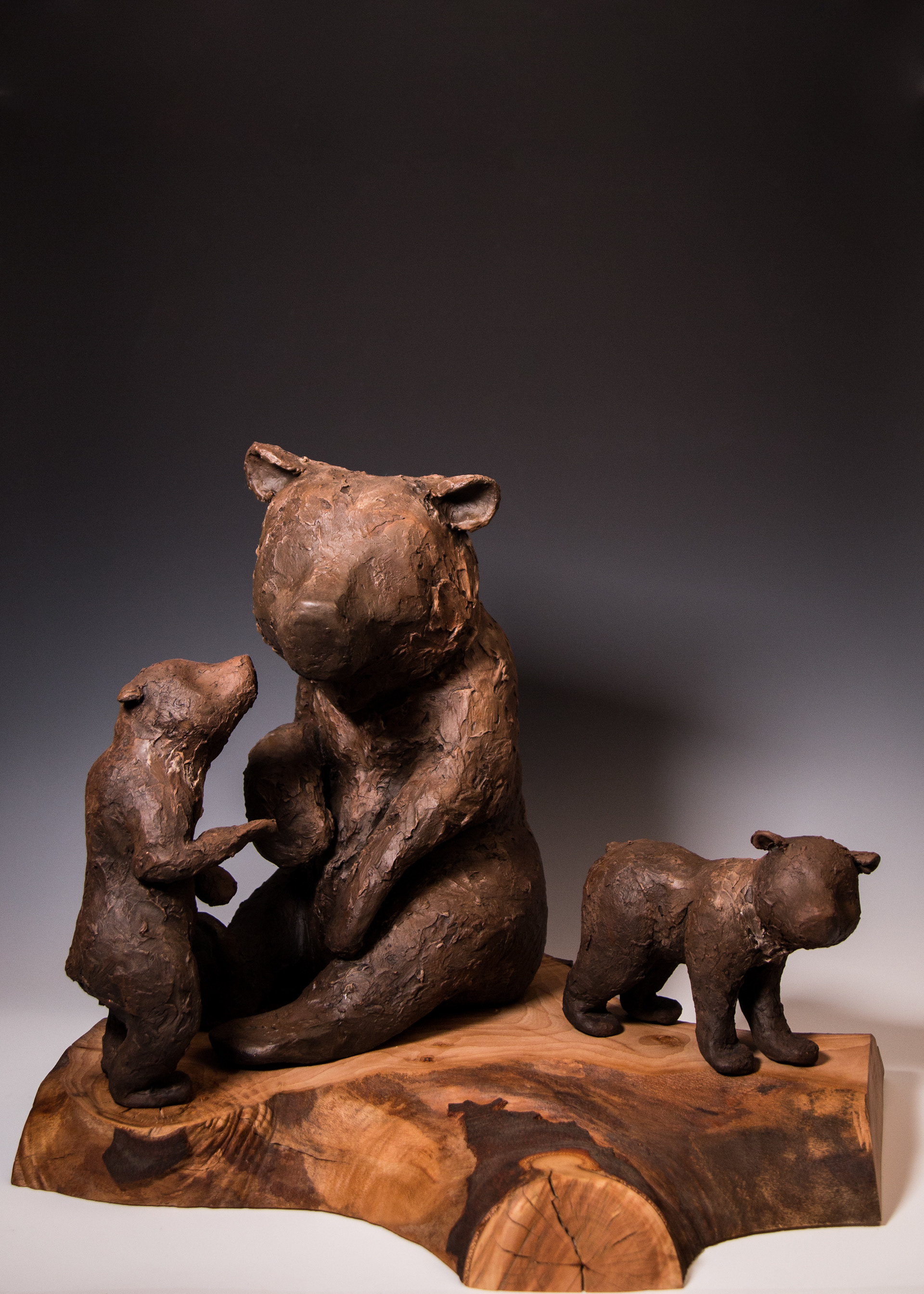Bears 1