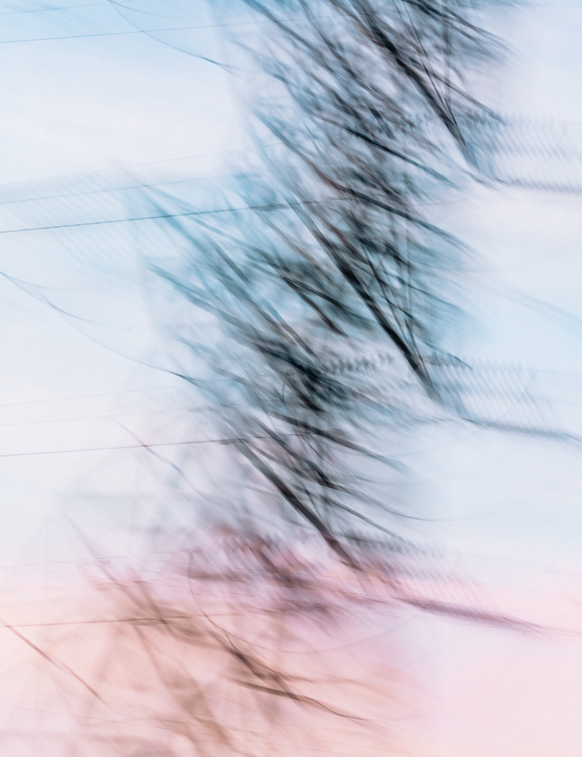 Untitled 8
