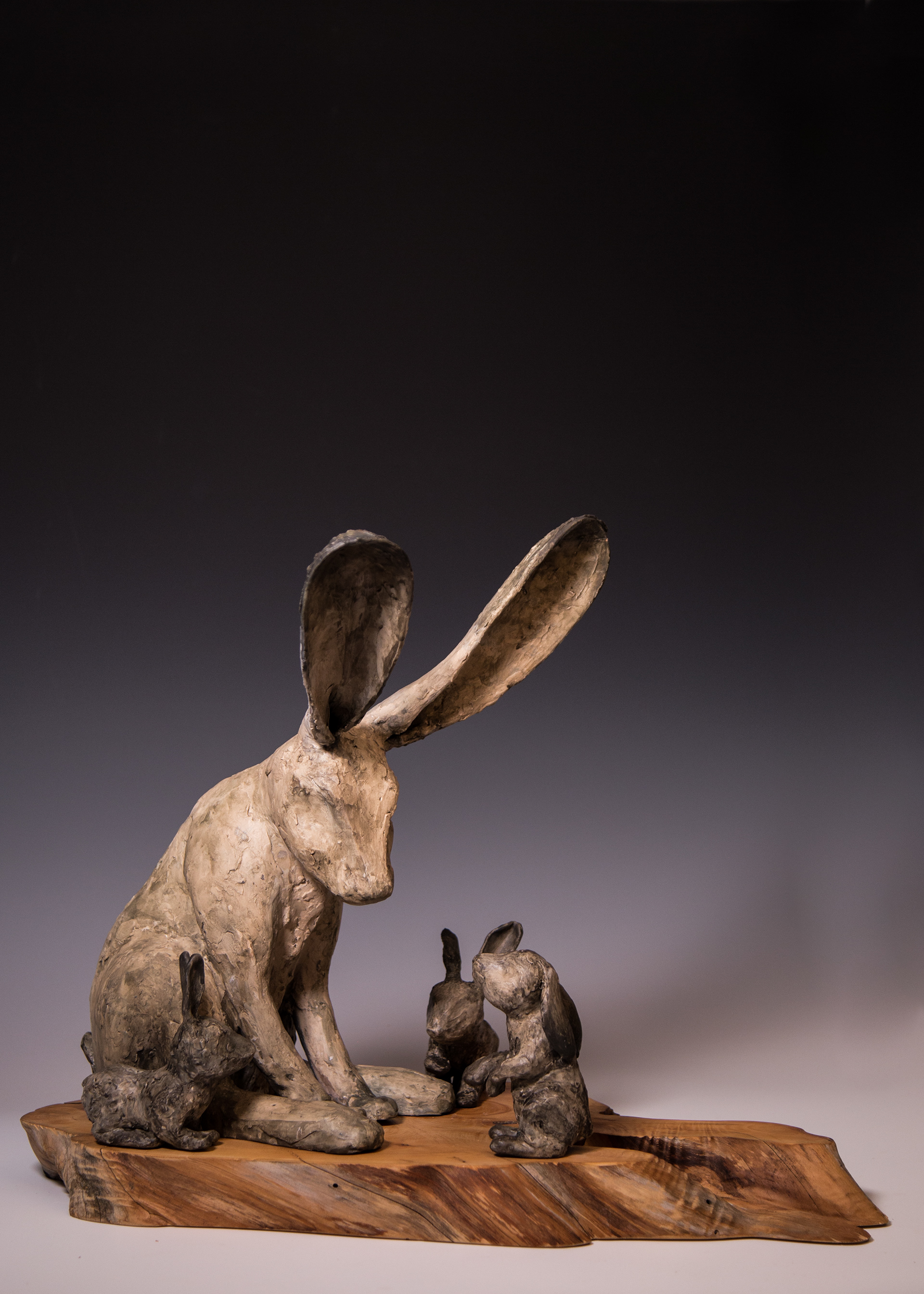 Rabbits 3