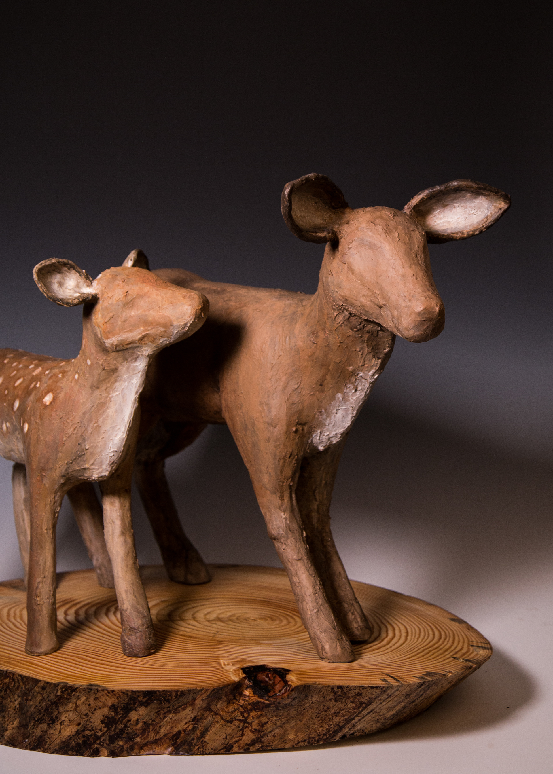 Deer 2
