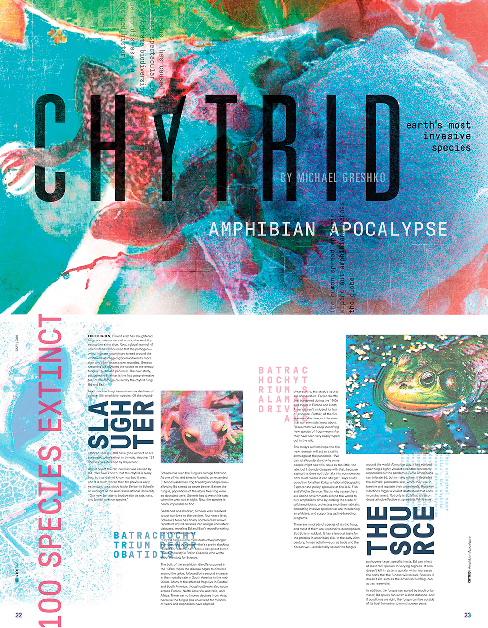 Karen Smith - Amphibian Apocalypse