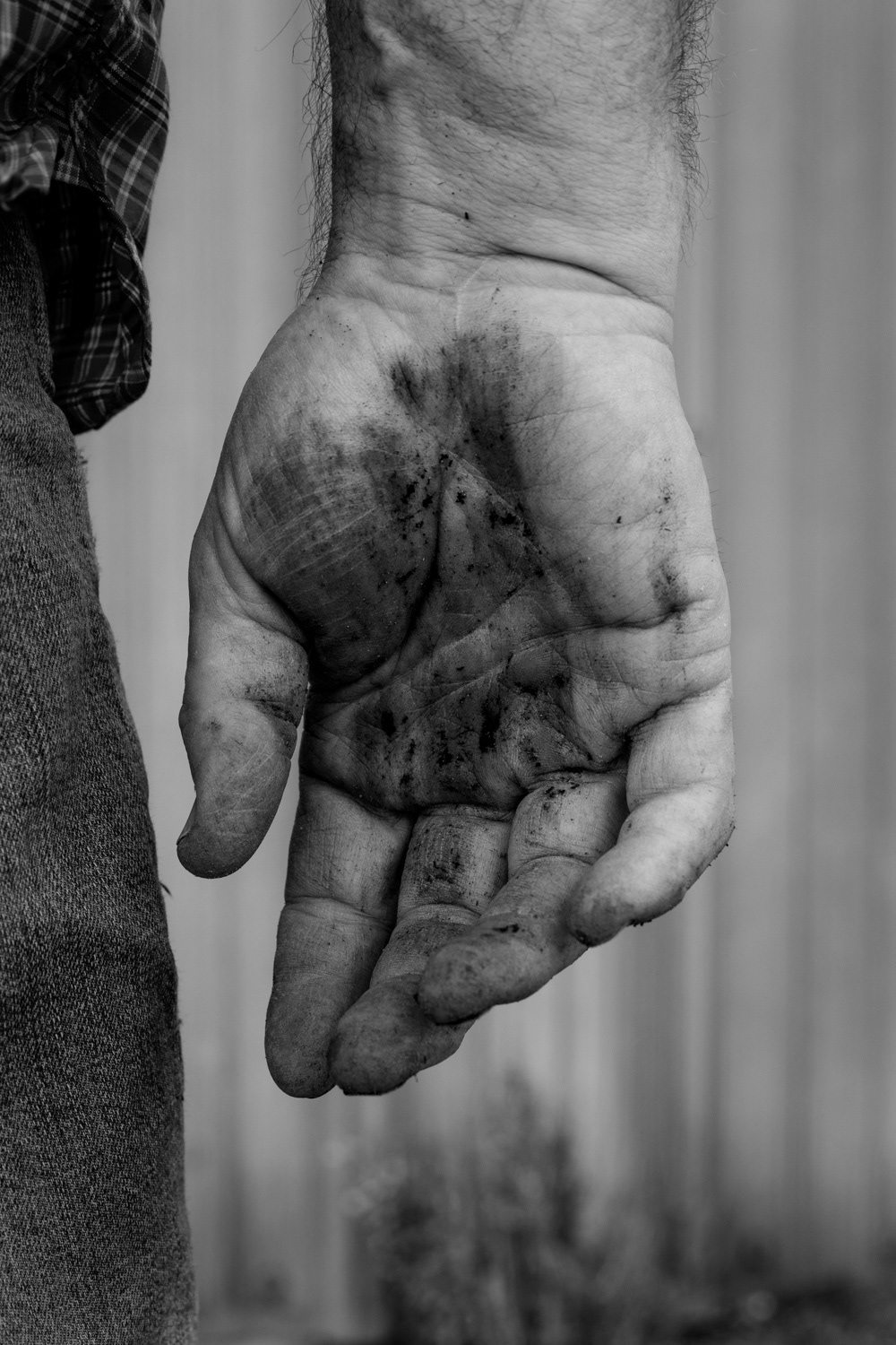 Challis Morganson - Working Hands