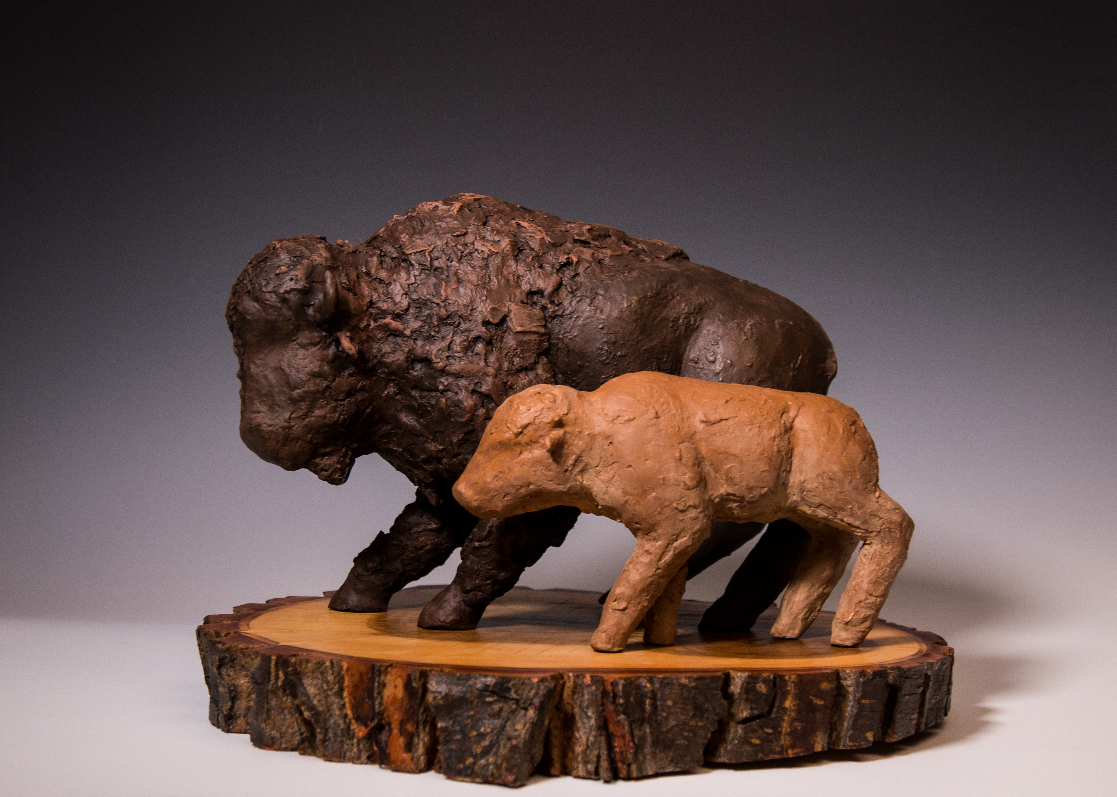 Bison 2