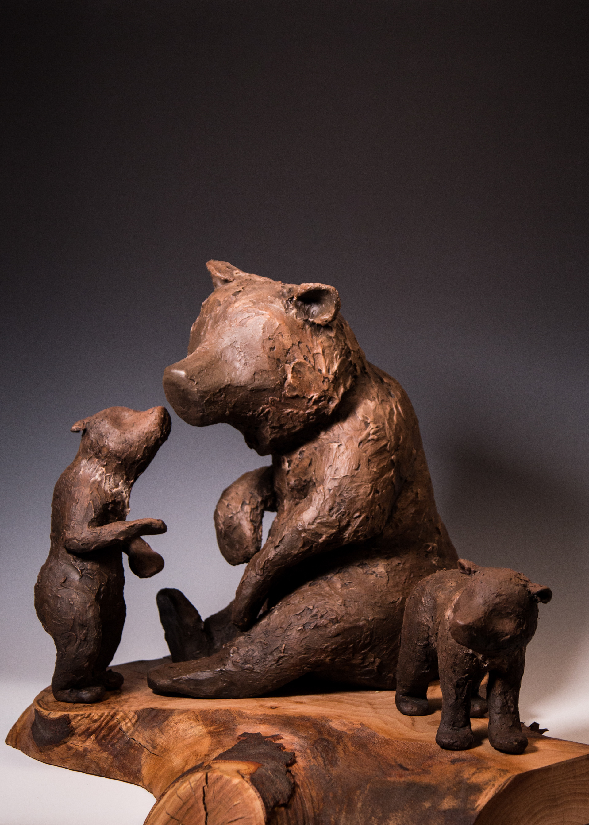 Bears 2