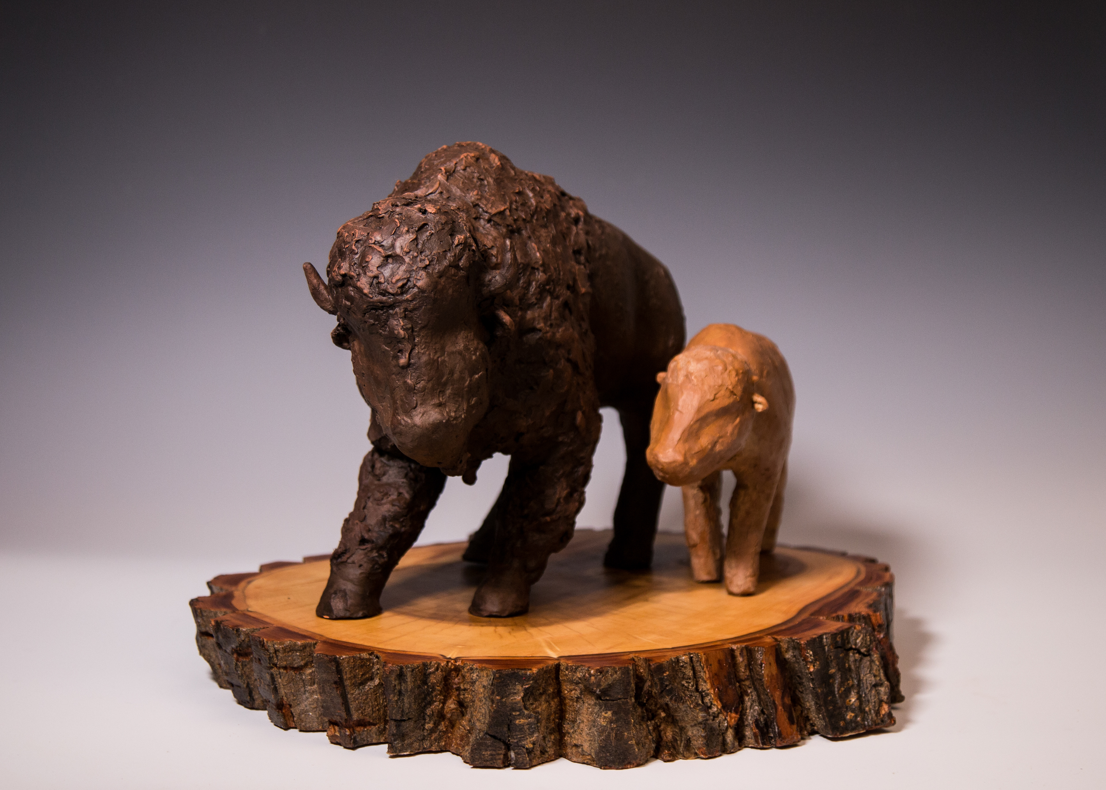 Bison 1