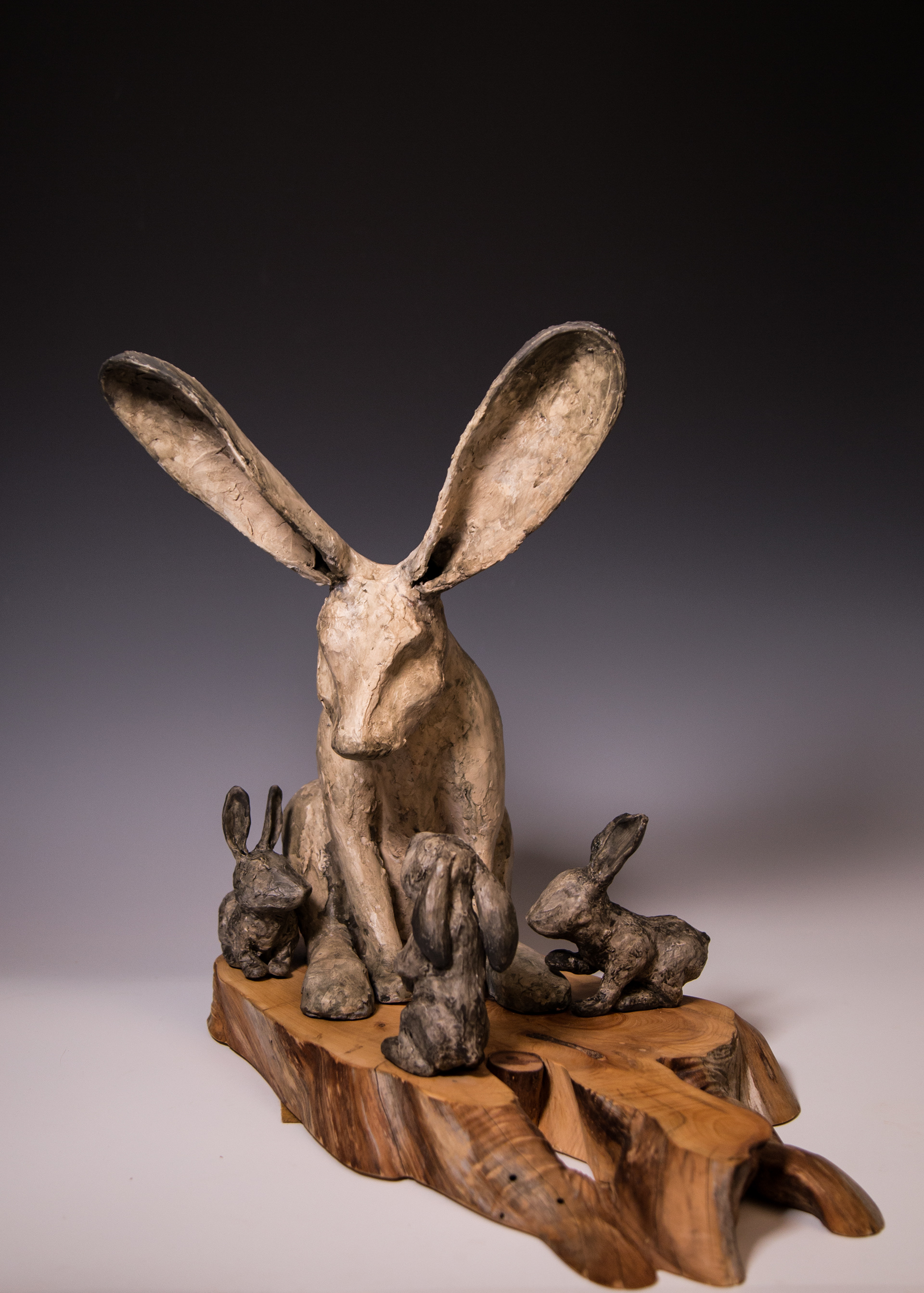 Rabbits 2