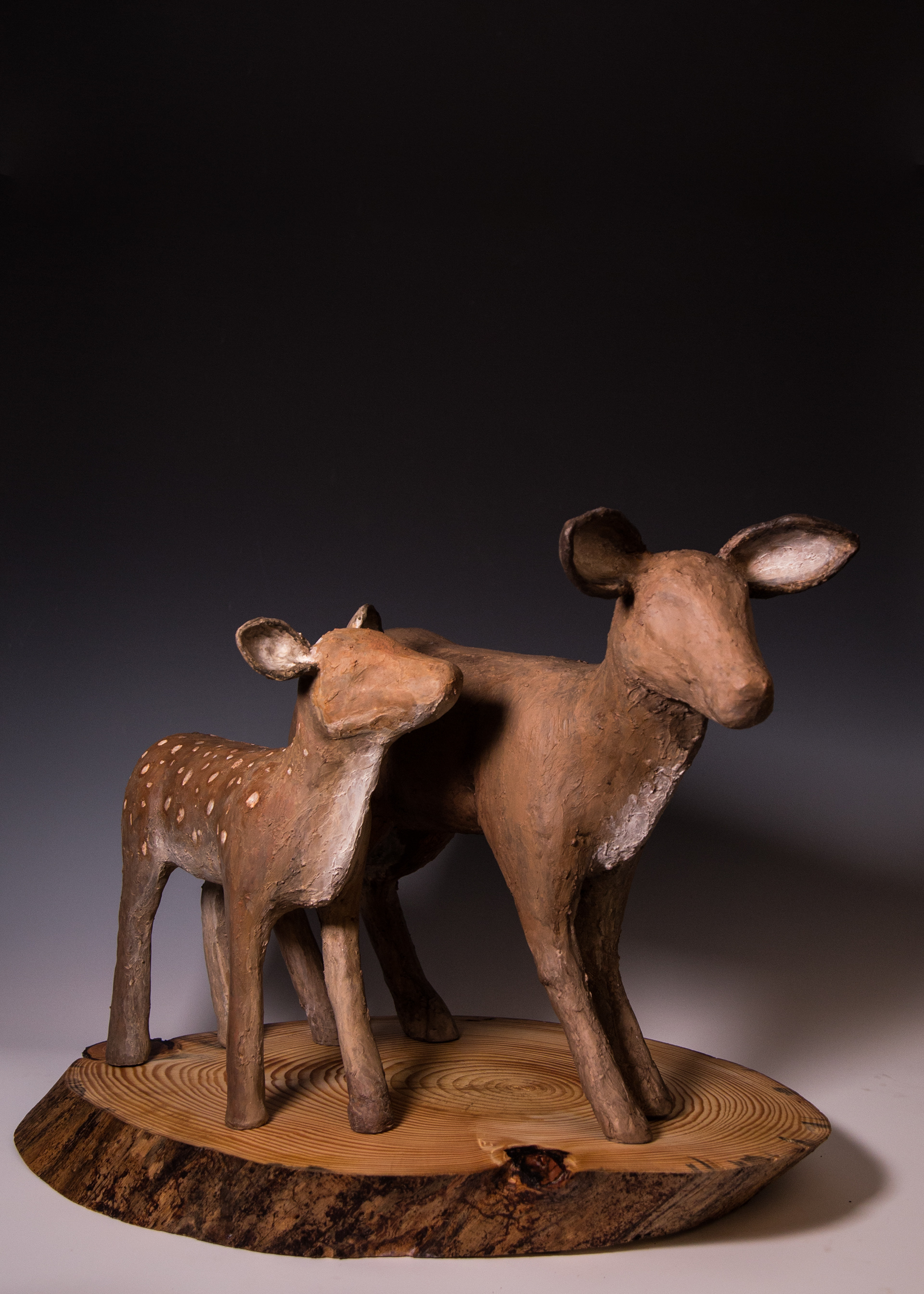Deer 1