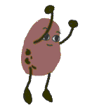 Russet the potato jumping/landing.
