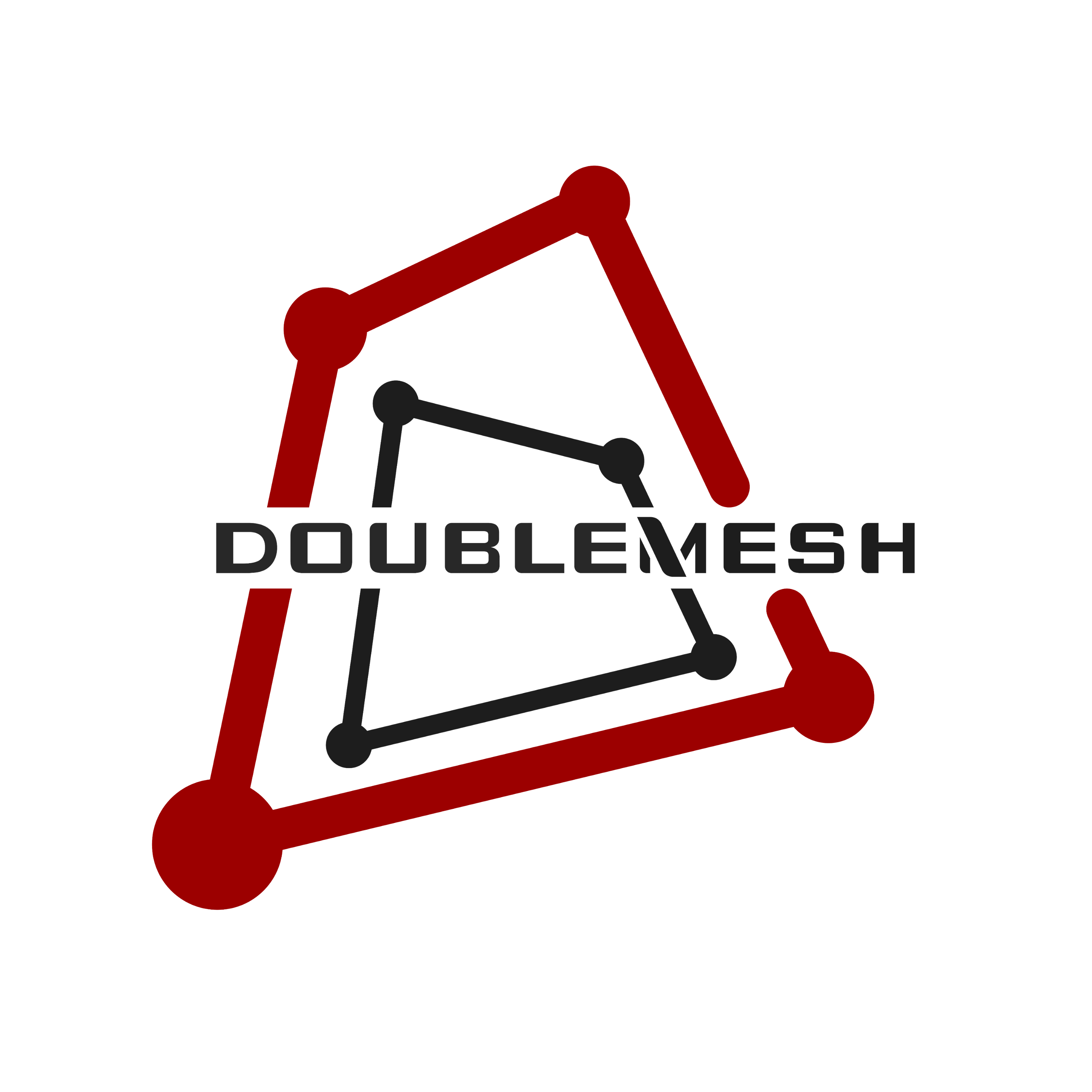 DoubleMesh