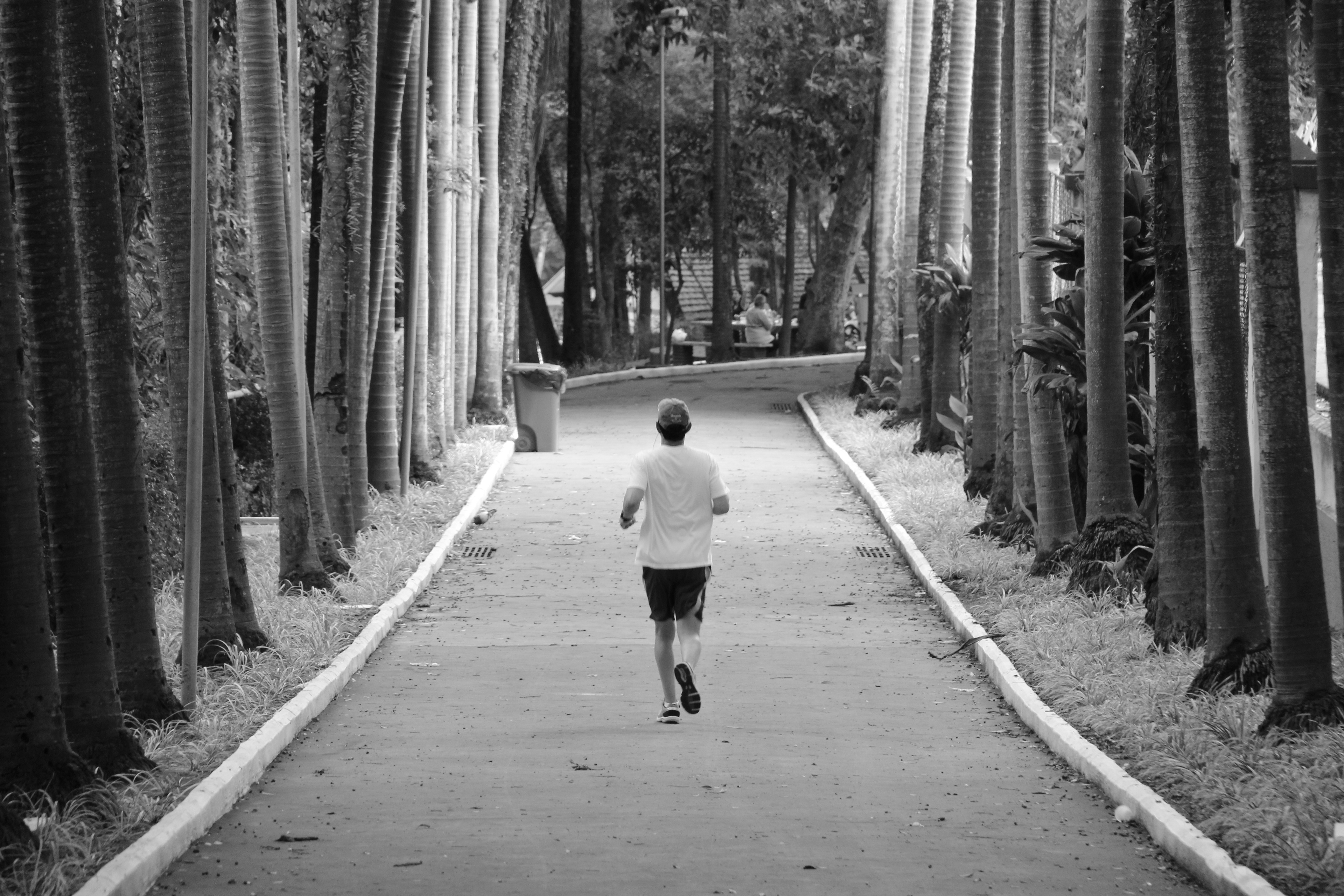 Parque da Água Branca, São Paulo (2014)