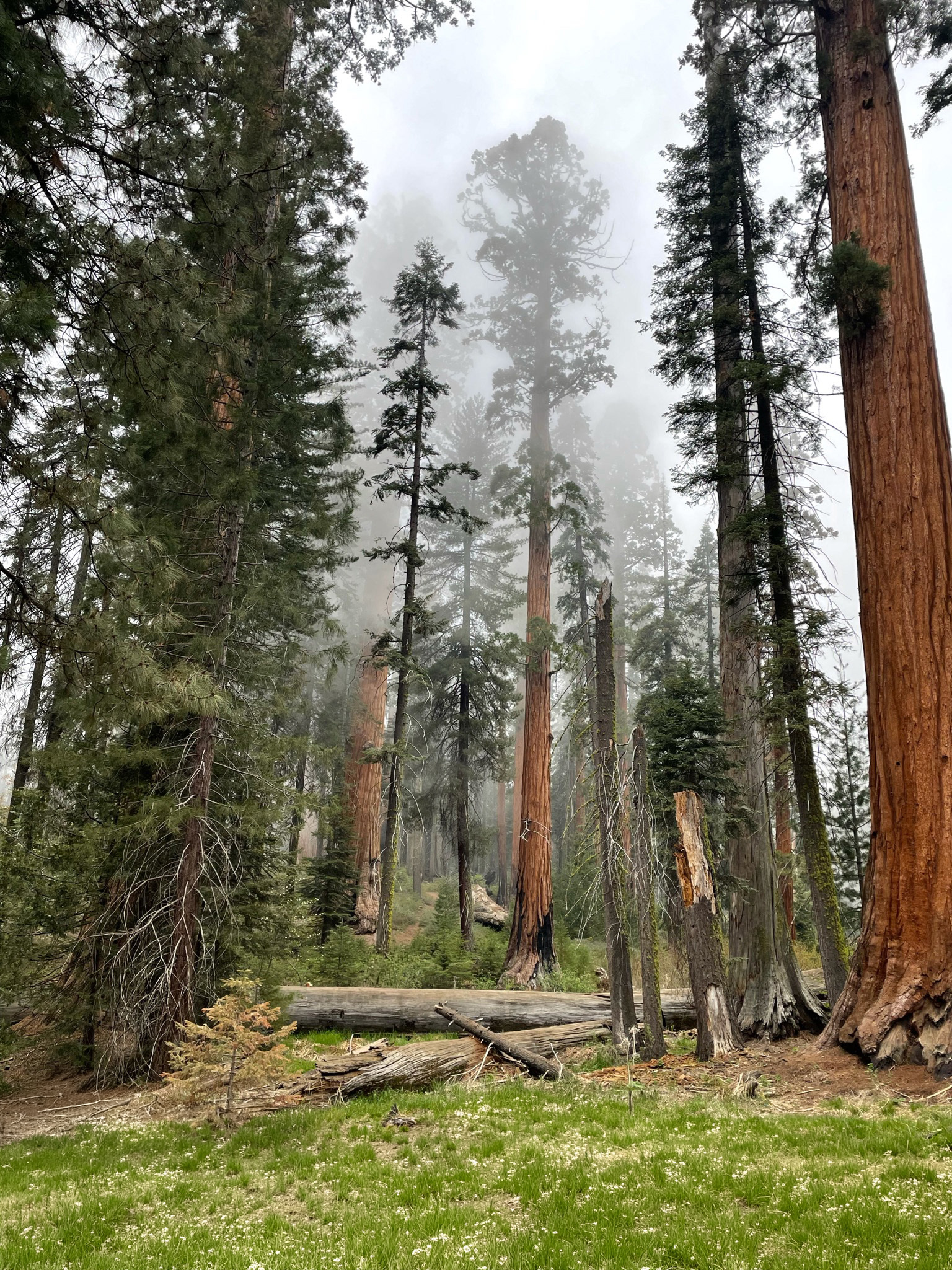 Sequoia National Park