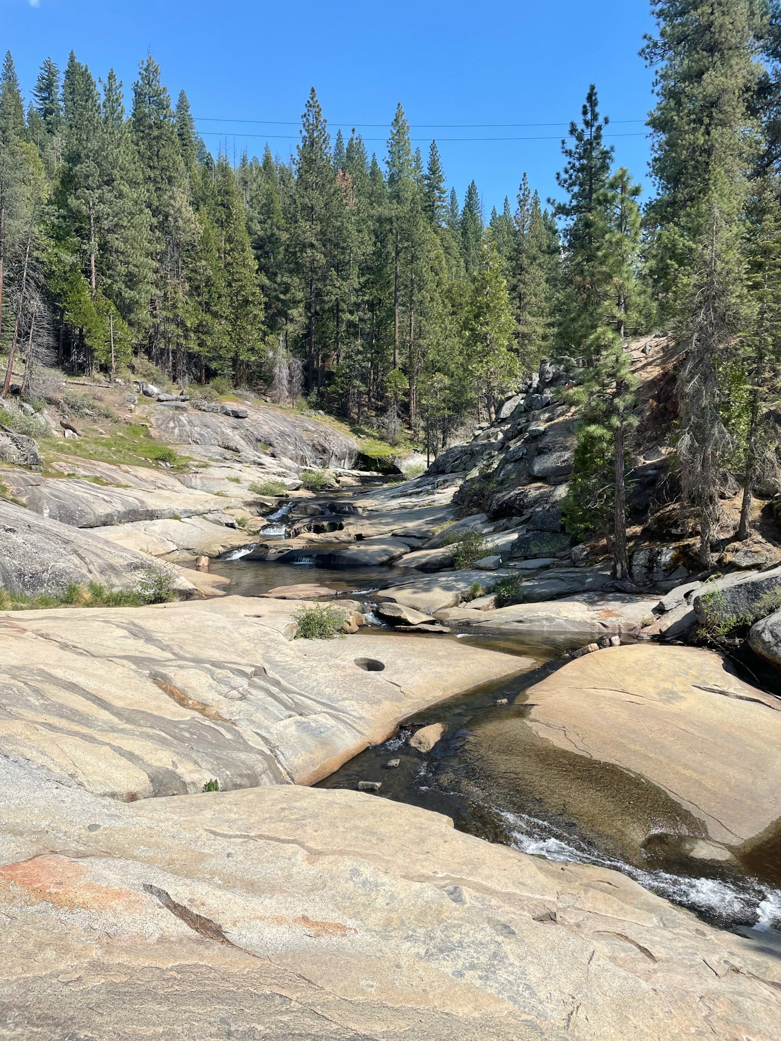 Sequoia National Park