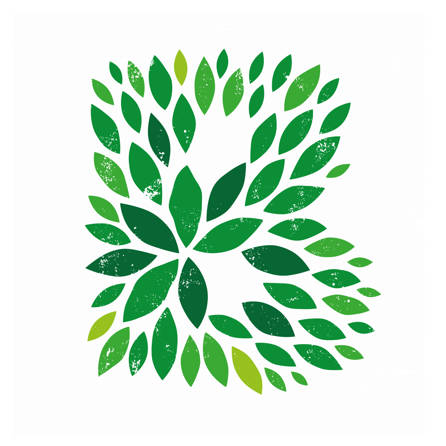 Plant B