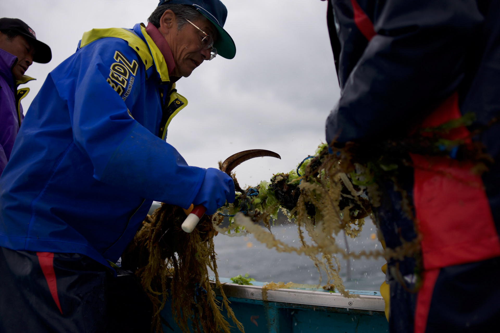 A group of fishermen from Togura, recover nets at sea near the small village of Minami Sanriku in Miyagi prefecture. Togura, a small fishing village in Minami Sanriku, was vastly destroyed by the 2011 tsunami that hit the northeast coast of Japan. Thousands died and hundreds of families lost their houses, business and boats. The recovering community works now in a cooperative system where the few remaining boats spared by the tsunami are shared by all.