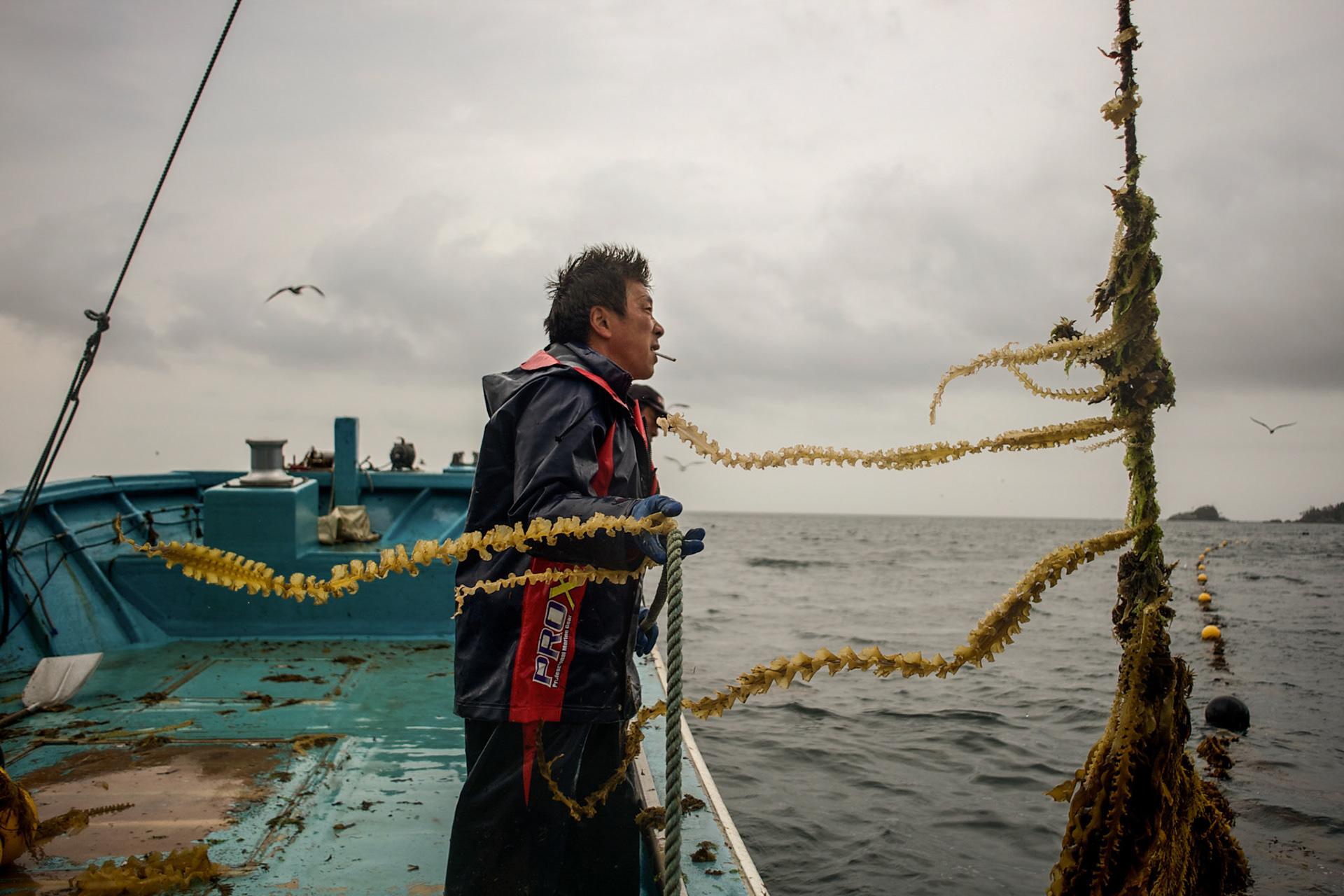 May 29, 2013 - Togura, Japan: A fisherman from Togura, recover nets at sea near the small village of Minami Sanriku in Miyagi prefecture. Togura, a small fishing village in Minami Sanriku, was vastly destroyed by the 2011 tsunami that hit the northeast coast of Japan. Thousands died and hundreds of families lost their houses, business and boats. The recovering community works now in a cooperative system where the few remaining boats, spared by the tsunami, are shared by all. (Paulo Nunes dos Santos)