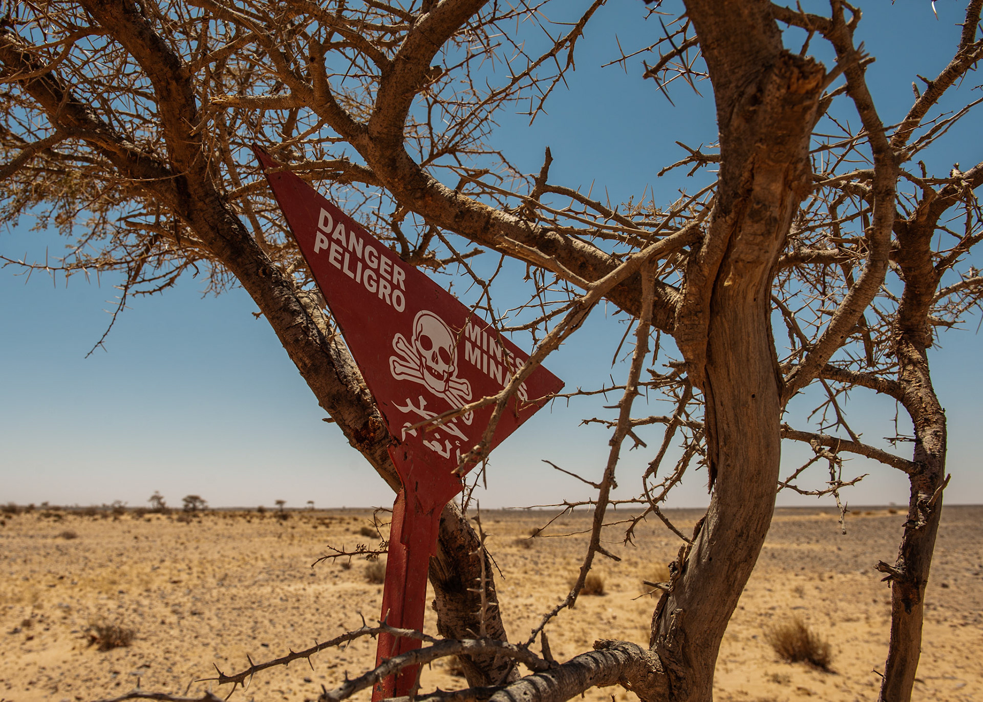 Western Sahara