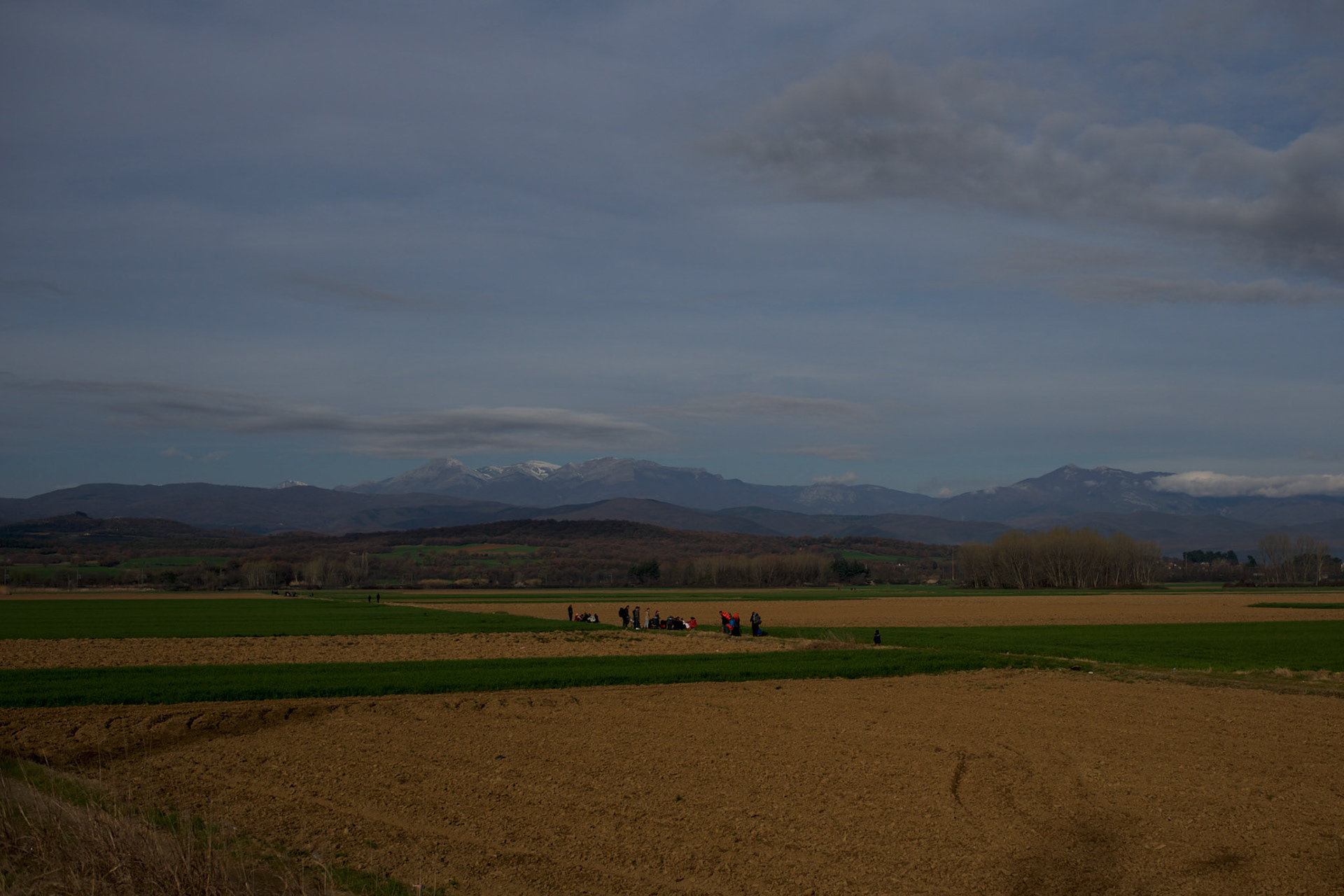 A group of migrants walk through fields towards the Greek-Macedonian border station of Idomeni, Greece.