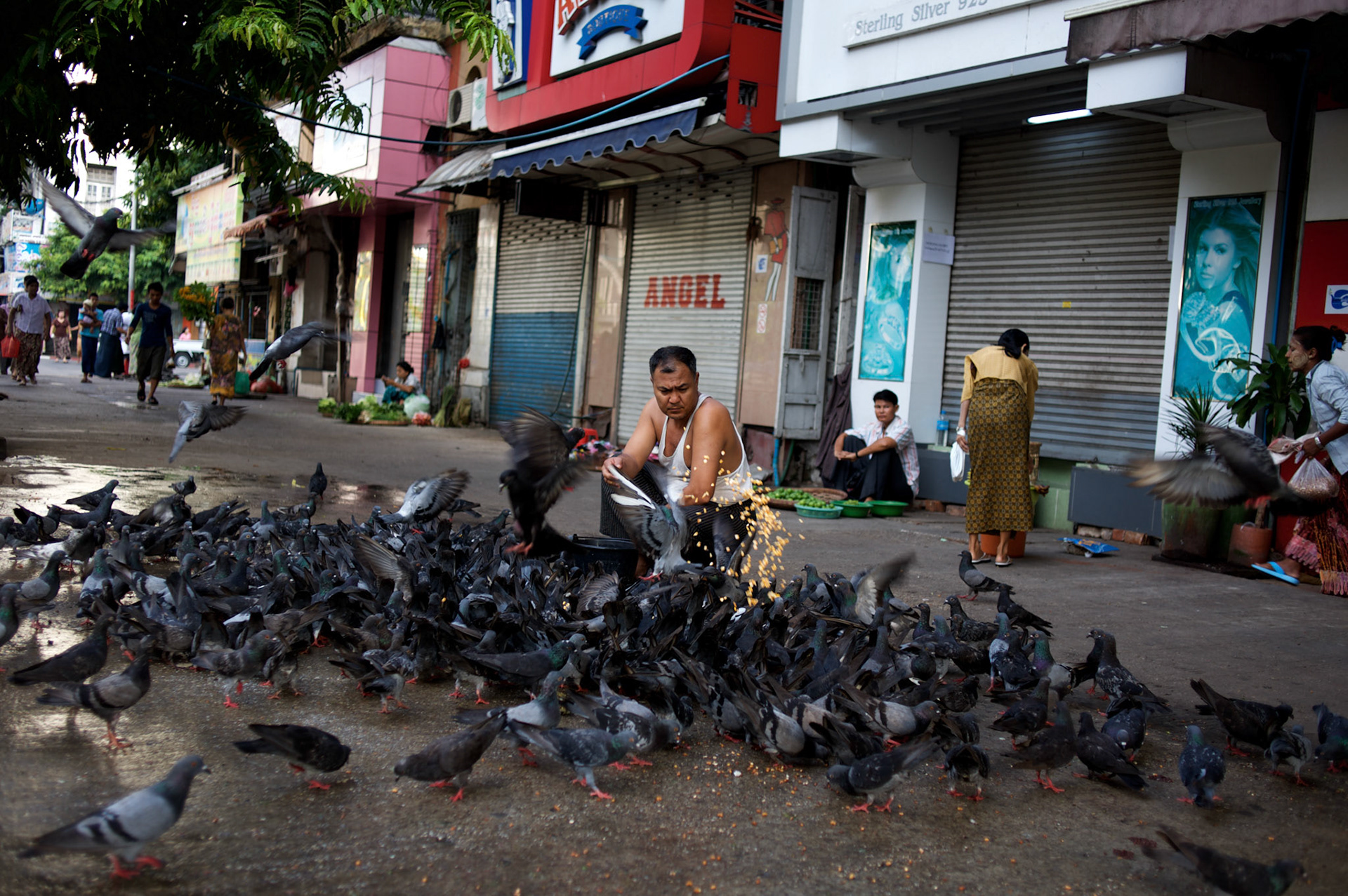 May 09, 2013 - Yangon, Myanmar: A local man feeds corn to pigeons en central Yangon. CREDIT: Paulo Nunes dos Santos
