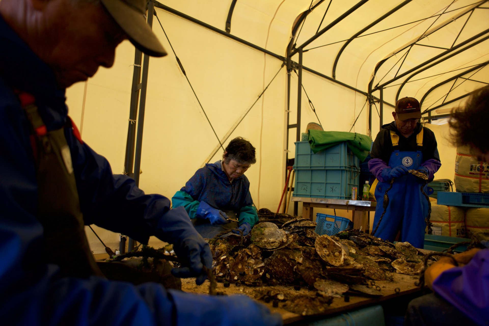 Locals prepare fishing nets in a workshop owned by Togura's fishing community. Togura, a small fishing village in Minami Sanriku, was vastly destroyed by the 2011 tsunami that hit the northeast coast of Japan. Thousands died and hundreds of families lost their houses, business and boats. The recovering community works now in a cooperative system where the few remaining boats spared by the tsunami are shared by all.