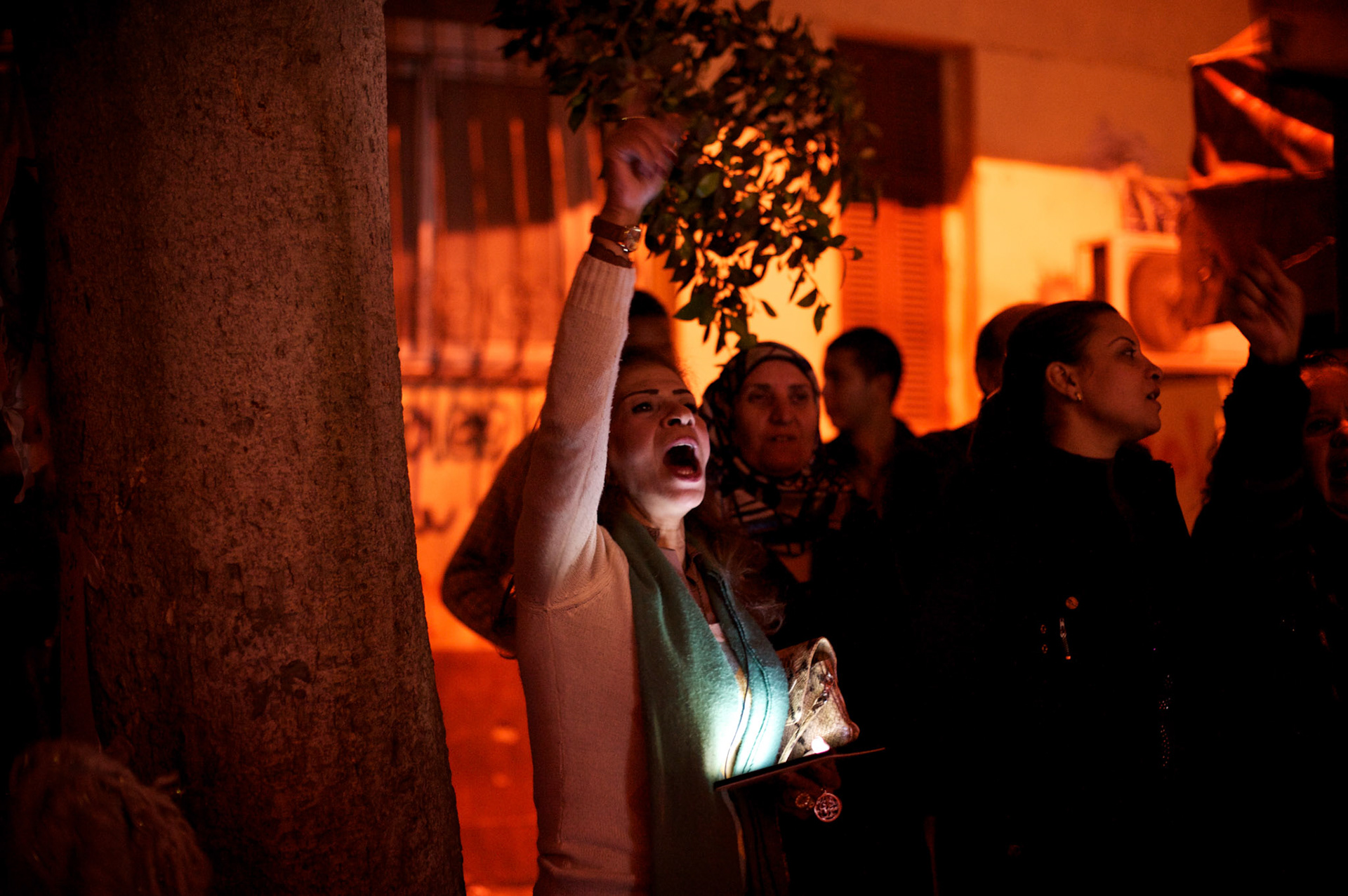 A female protestor shouts anti Mohamed Morsi slogans outside the presidential palace, in central Cairo, where tens of thousands gathered to voice their anger against a planned referendum for a new islamic based constitution.