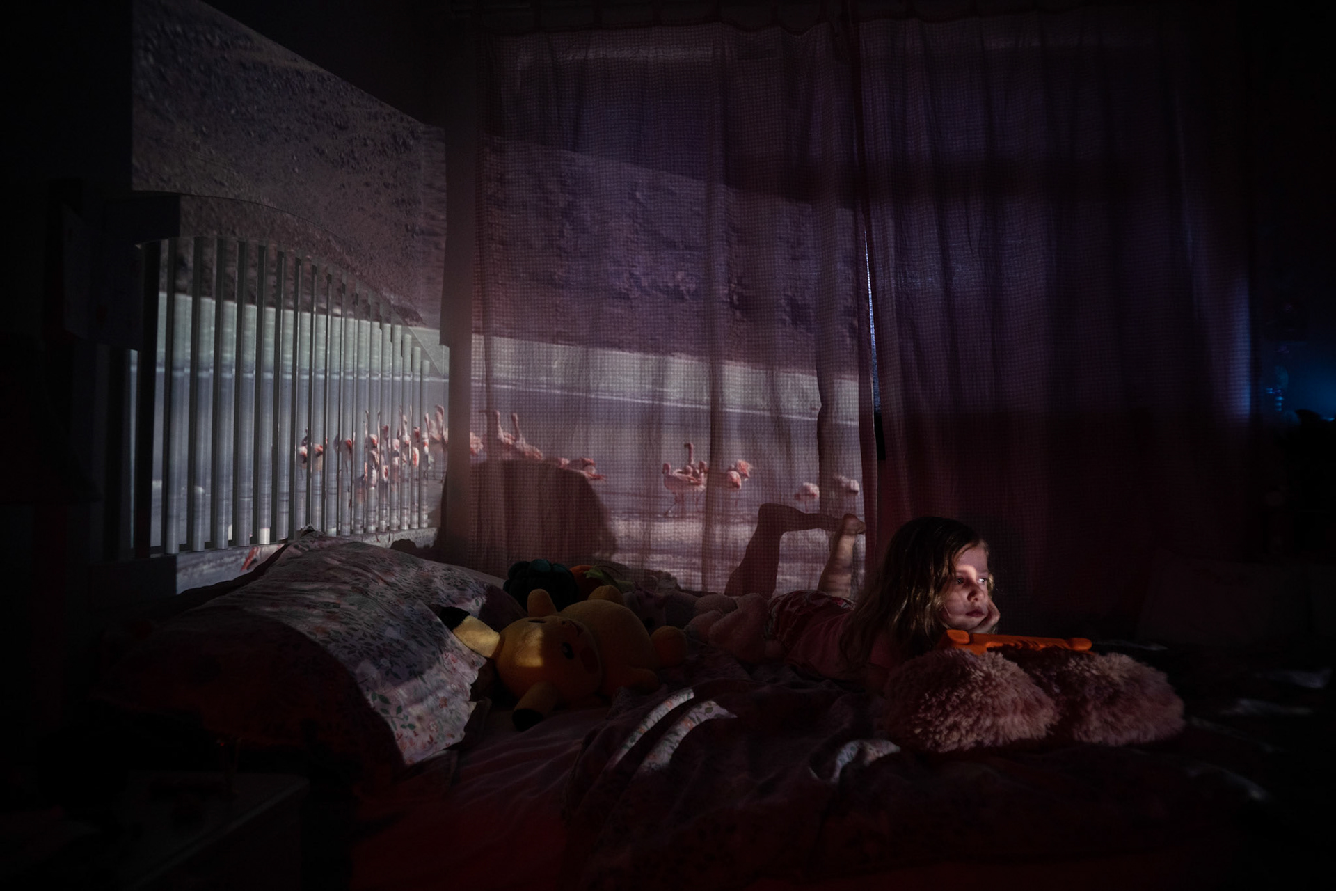 Millie with a slide of flamingos on a lake projected onto her bedroom walls.