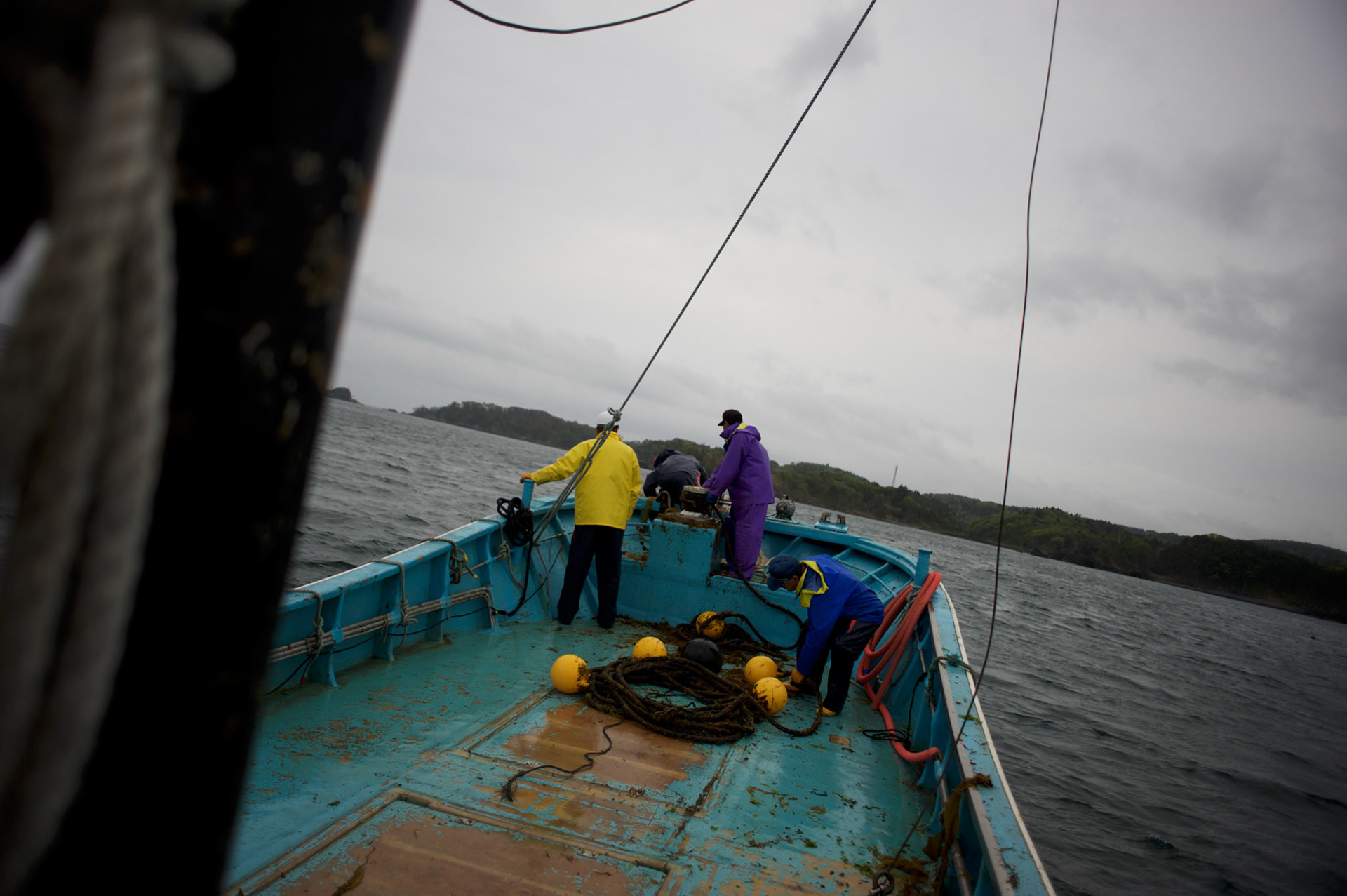 A group of fishermen from Togura, recover nets at sea near the small village of Minami Sanriku in Miyagi prefecture. Togura, a small fishing village in Minami Sanriku, was vastly destroyed by the 2011 tsunami that hit the northeast coast of Japan. Thousands died and hundreds of families lost their houses, business and boats. The recovering community works now in a cooperative system where the few remaining boats spared by the tsunami are shared by all.