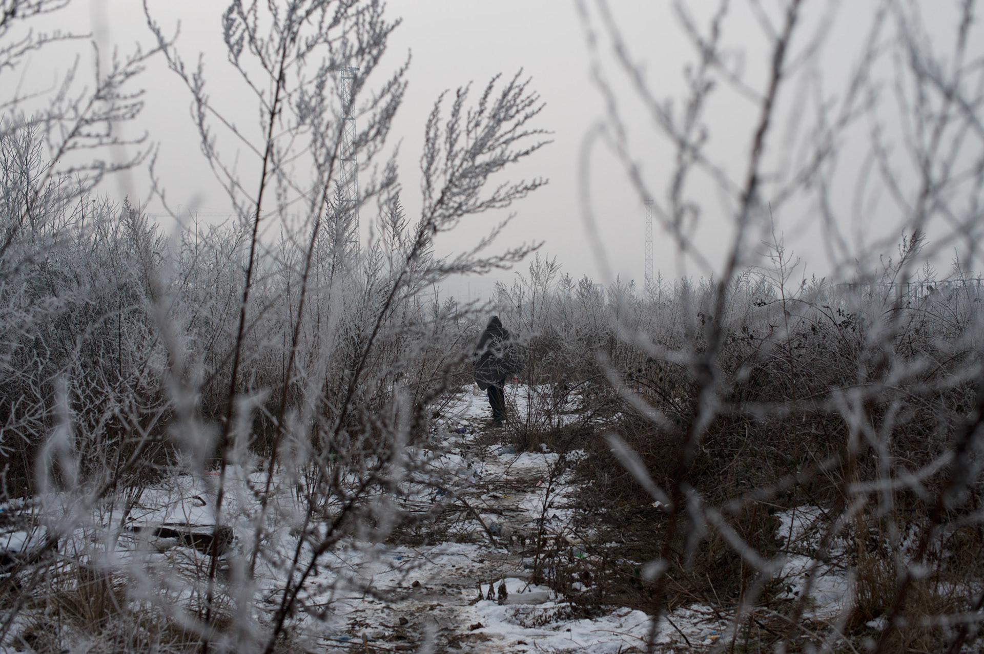 A migrant walks through a frozen field near Belgrade's Ain railway station.