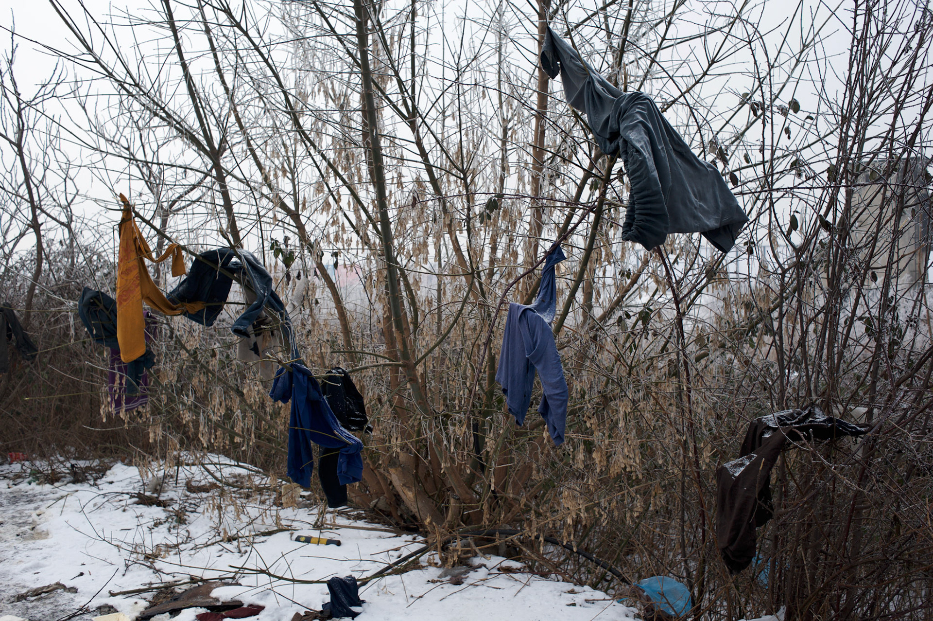 Cloths belonging to migrants are seen drying hanging from a tree near the old warehouses beside Belgrade's main railway station.